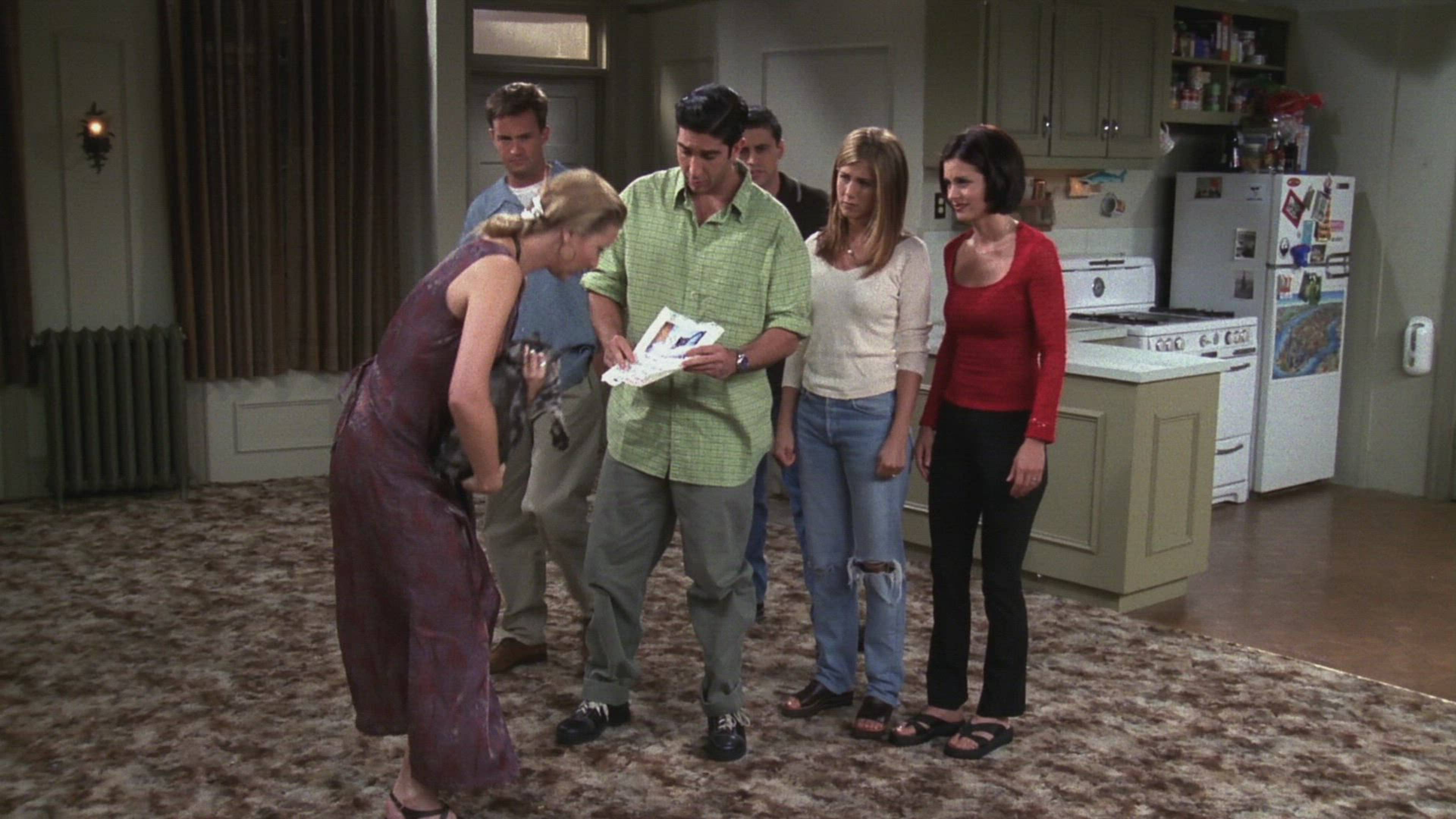 The One With The Cat