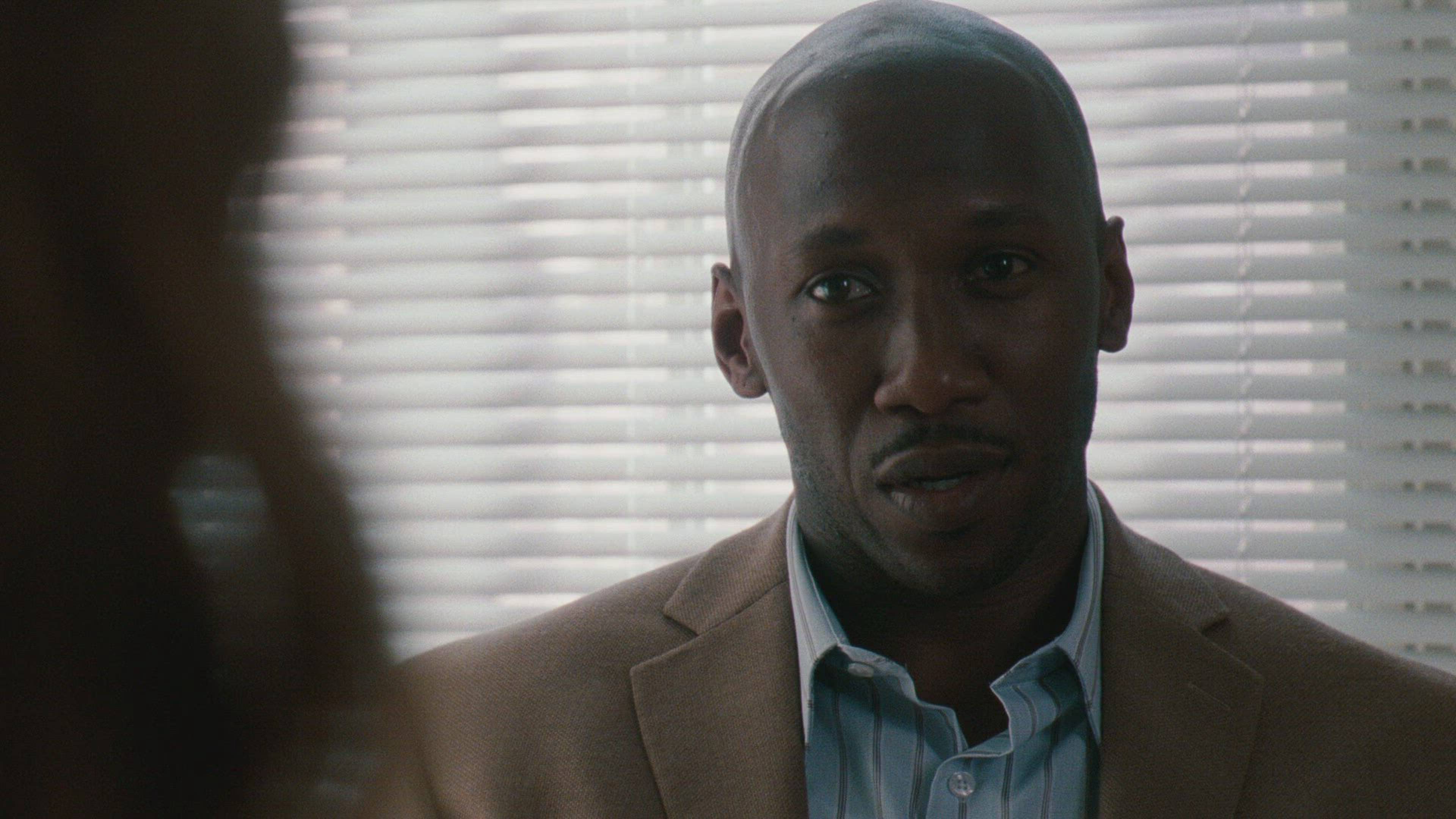 كان آي شينج ماي مايند؟