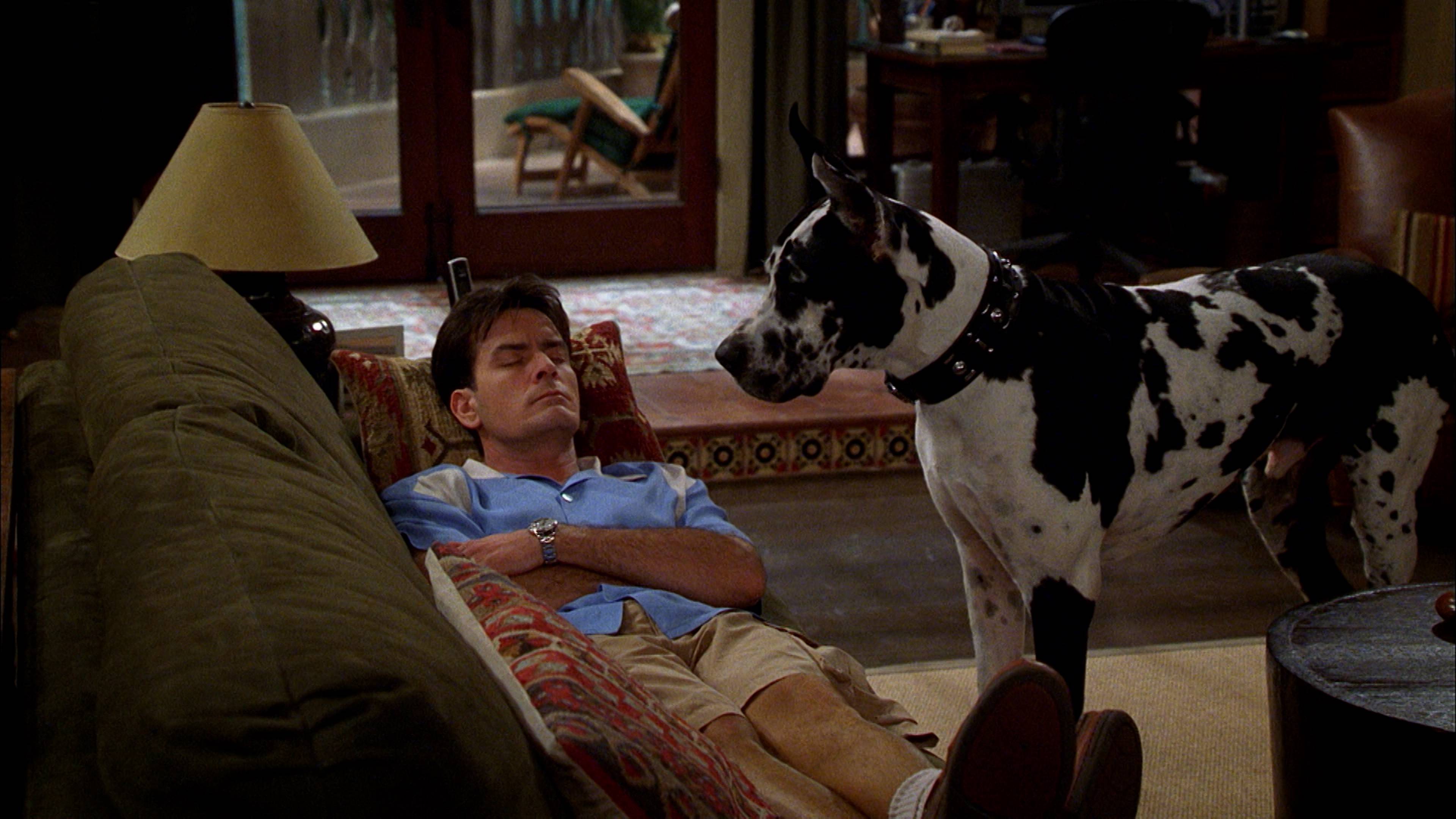 A Pot Smoking Monkey