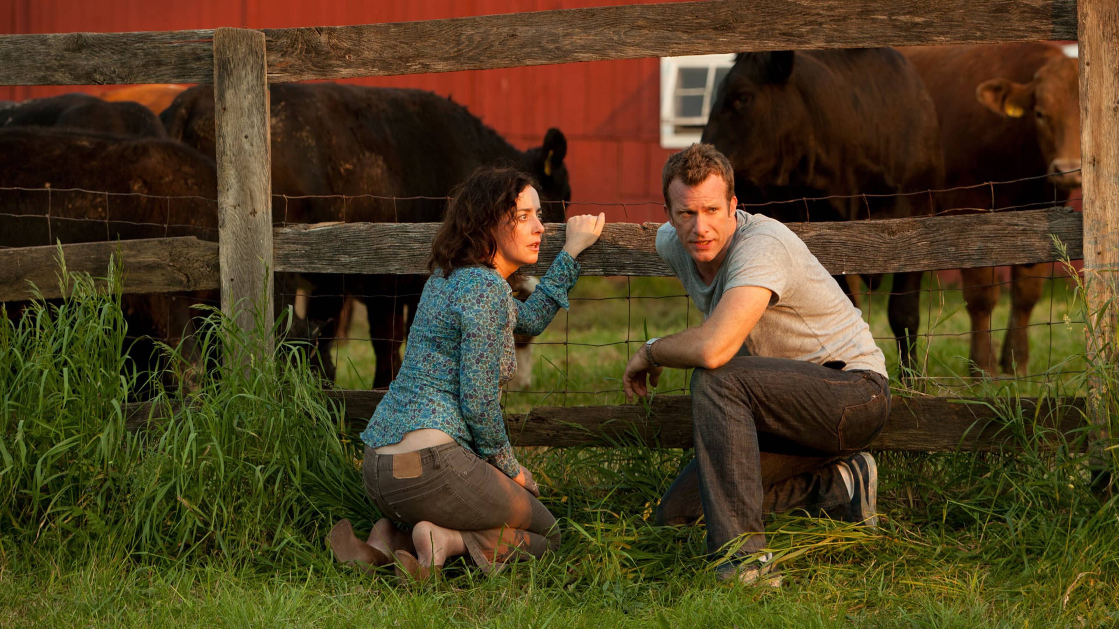 ذا هول بيفالو