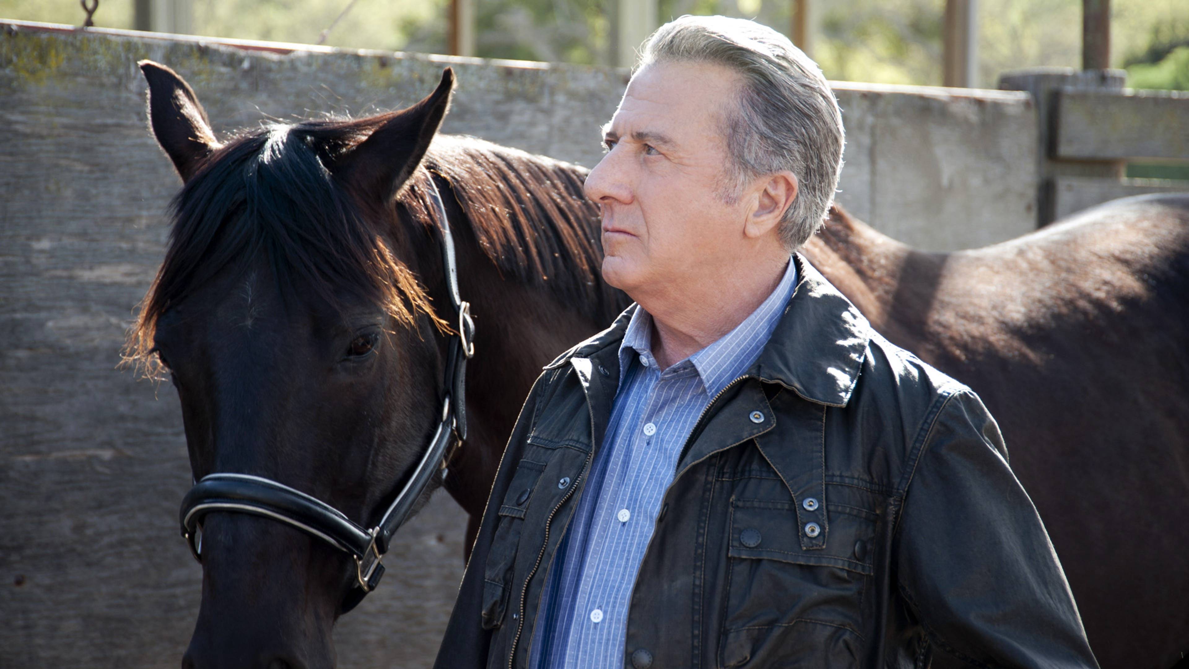 إيس آند كلير تور أيه هورس فارم