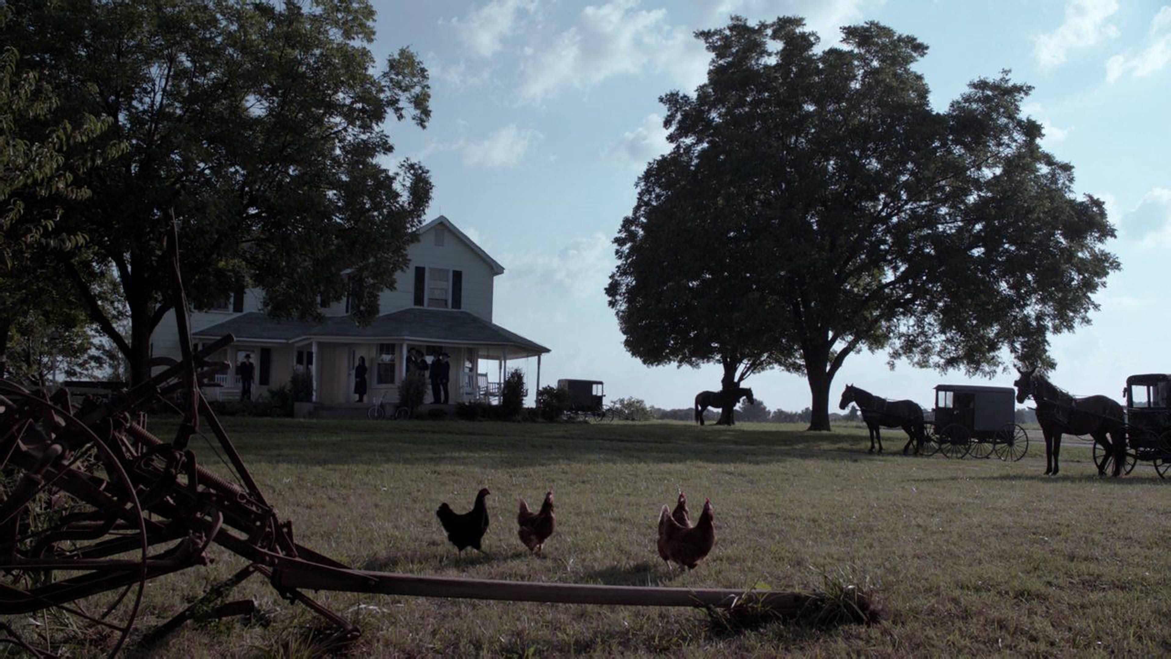 We Shall Live Forever