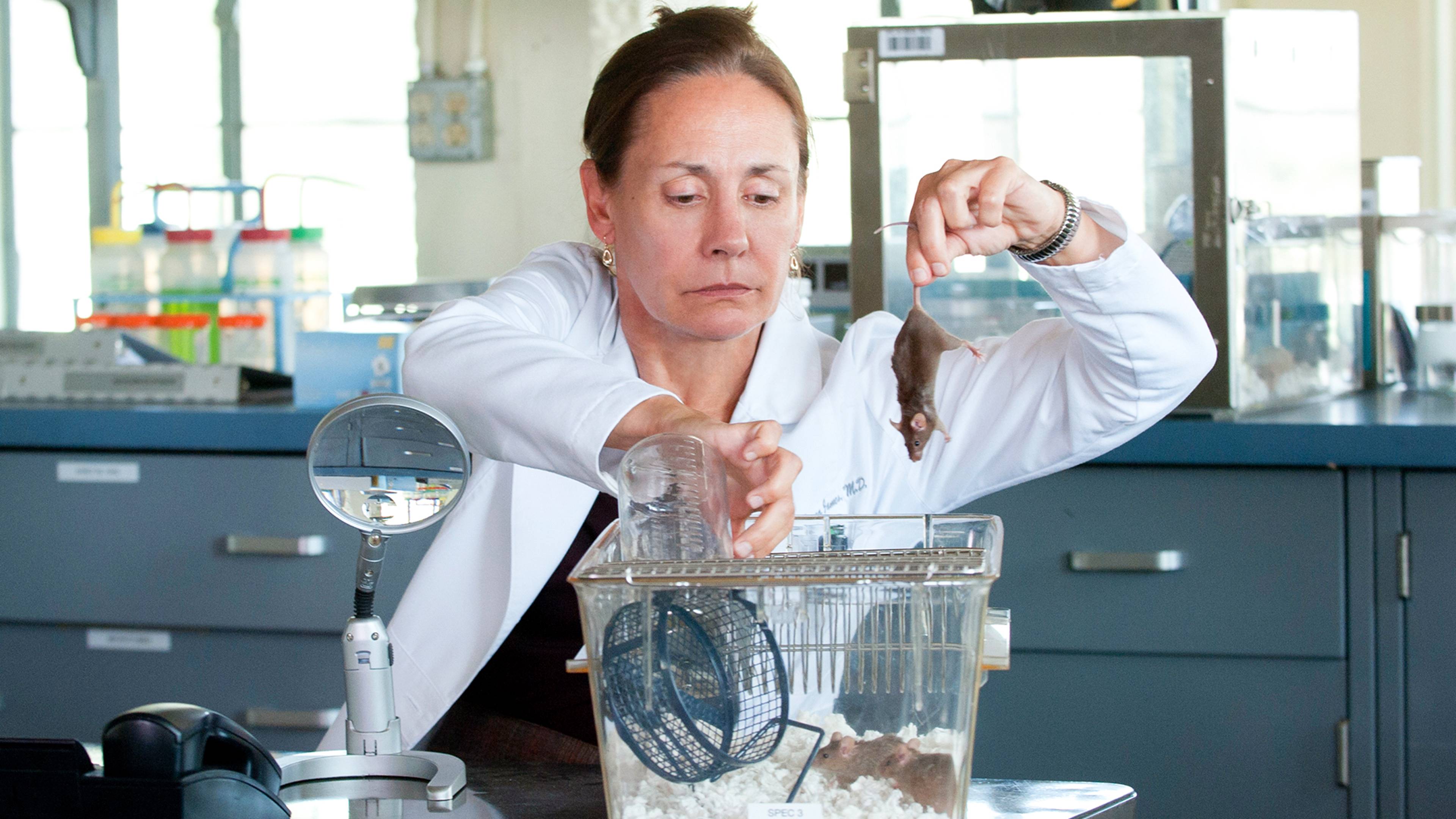 ذا سيفنث أنيوال كريسماس كارد كومبتشن