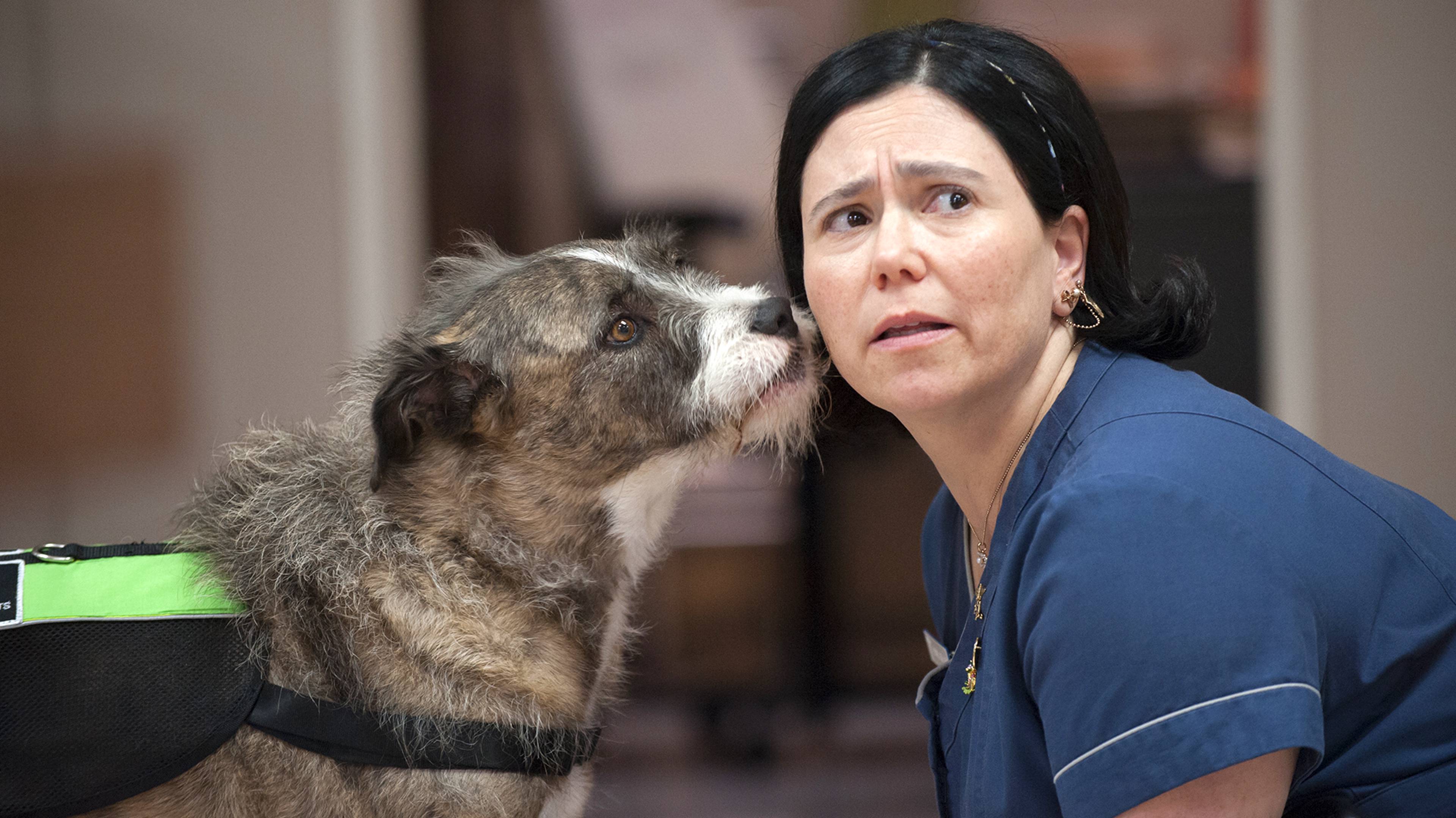 ذس إز أباوت فوميت، بيبول