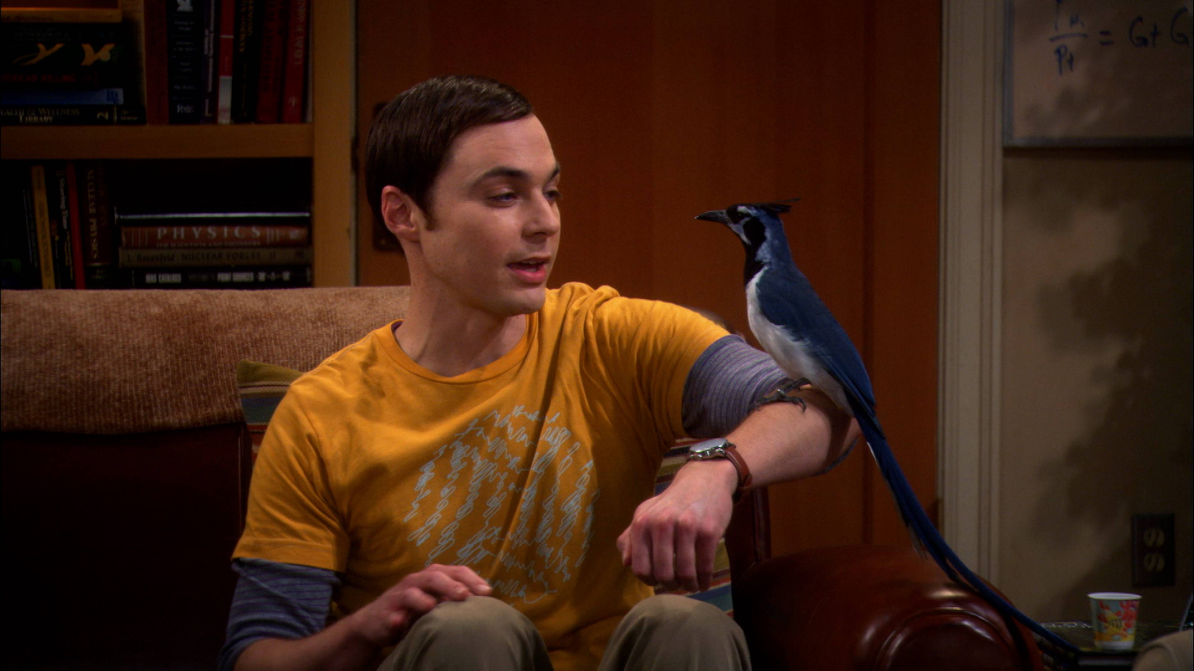 تفشّي رهاب الطيور