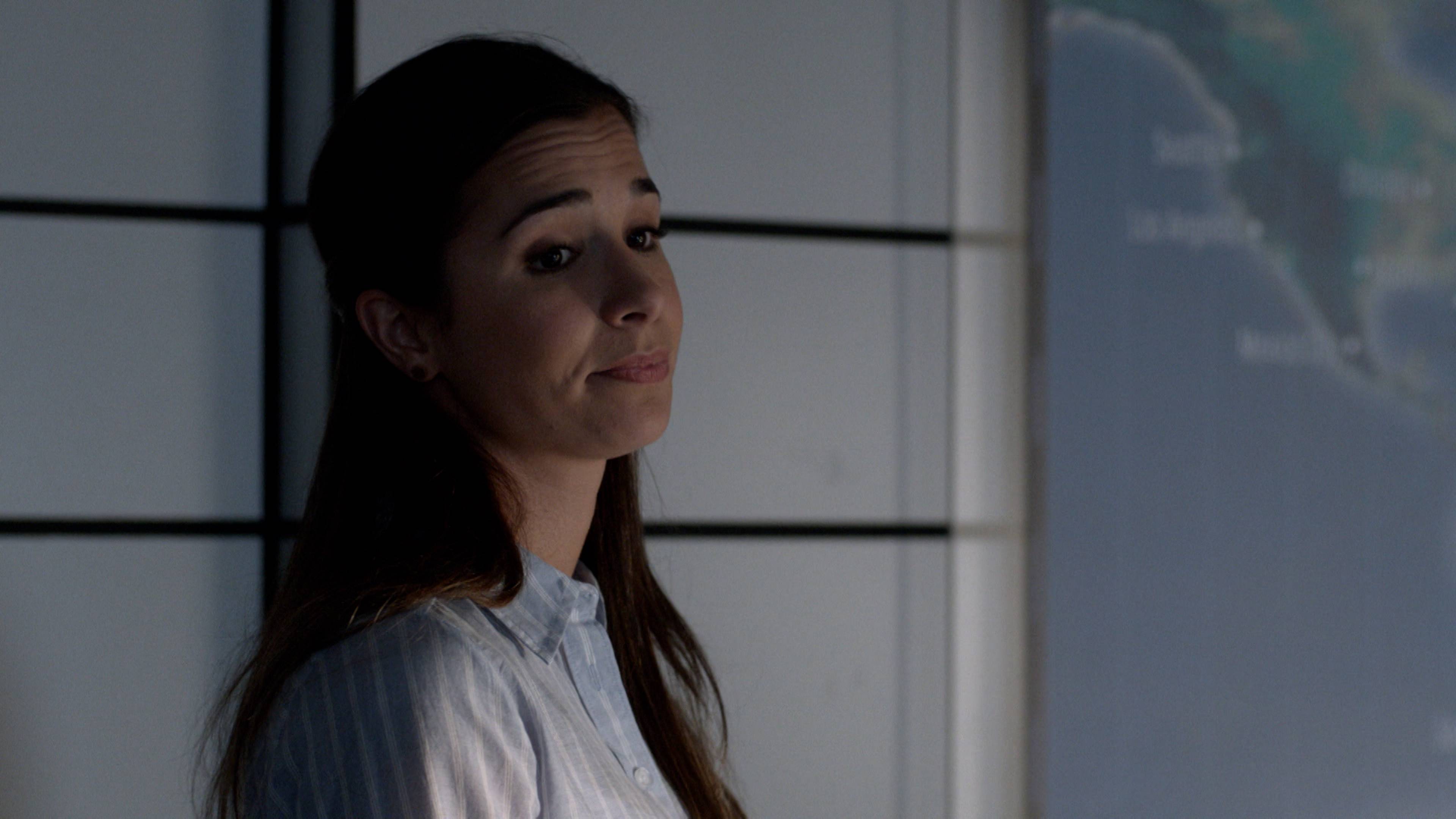 The Silver Briefcase