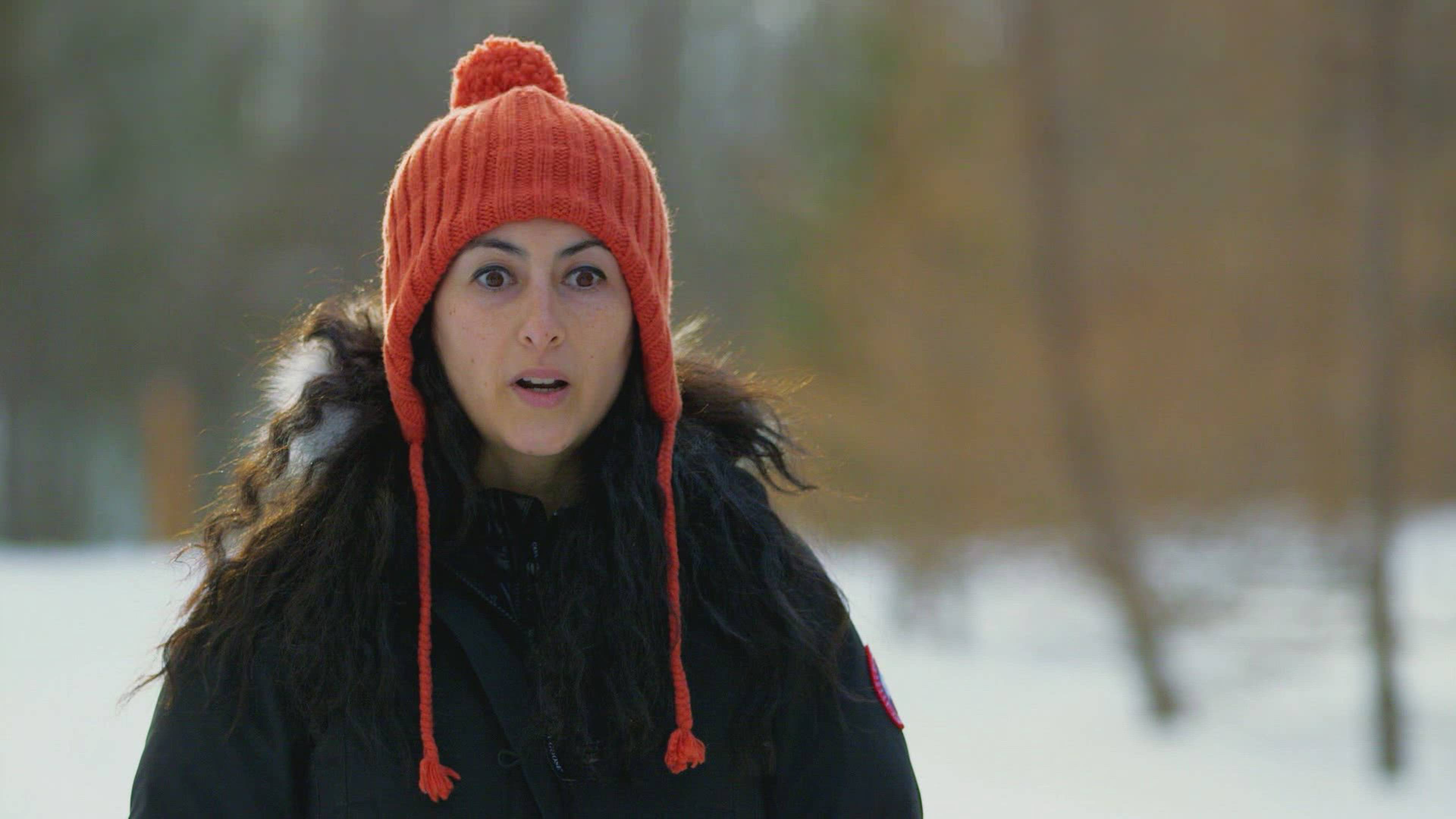 ديث باي ديمن وولف