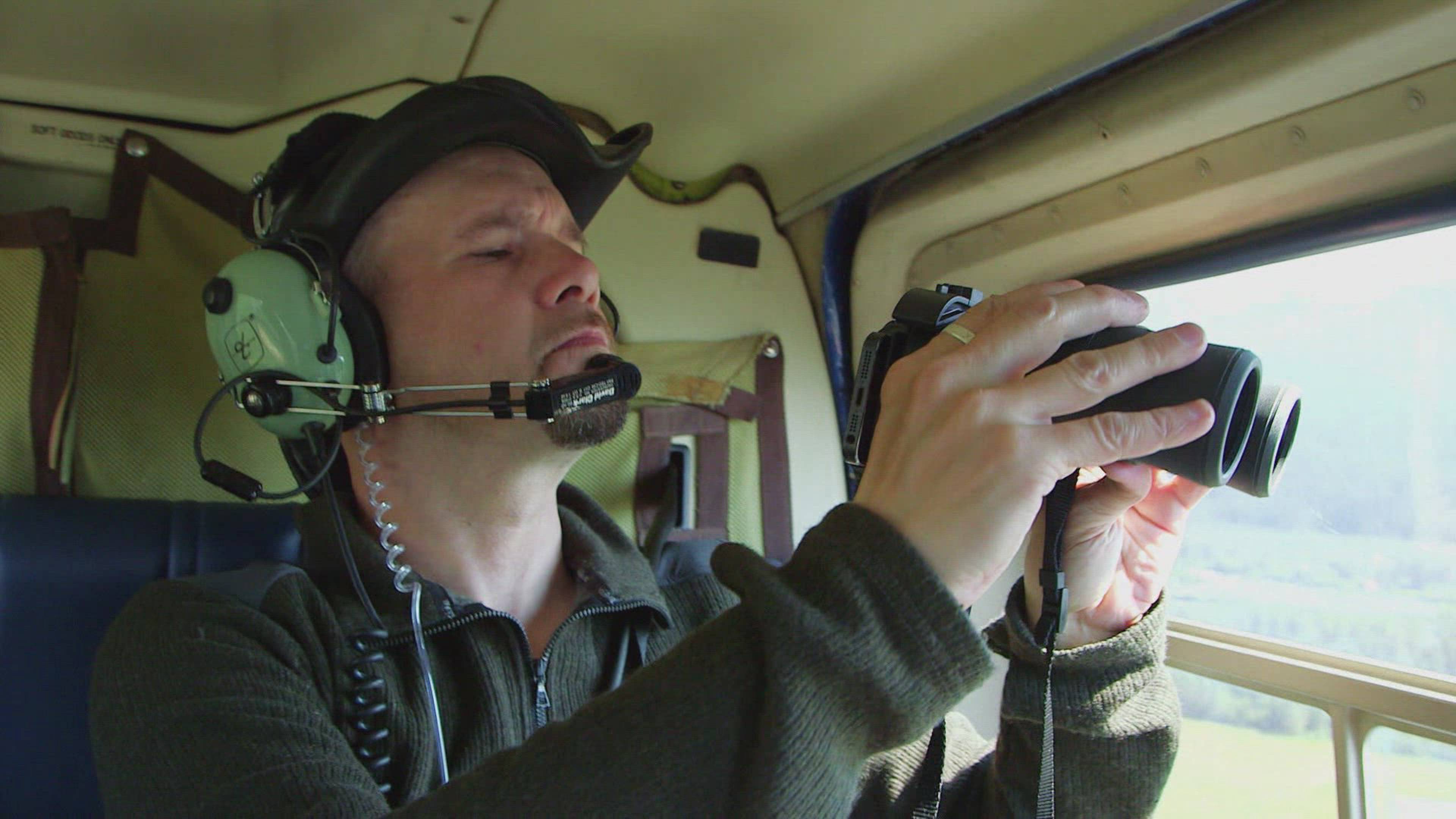 الطيور الفتاكة