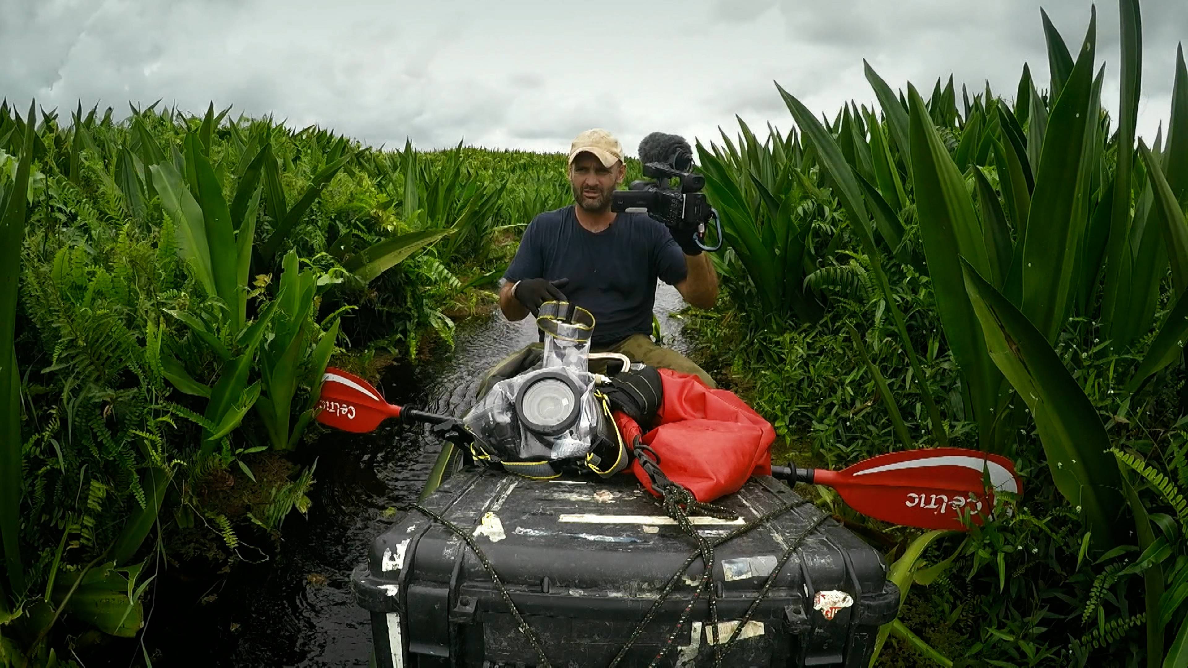 بابوا الغربية