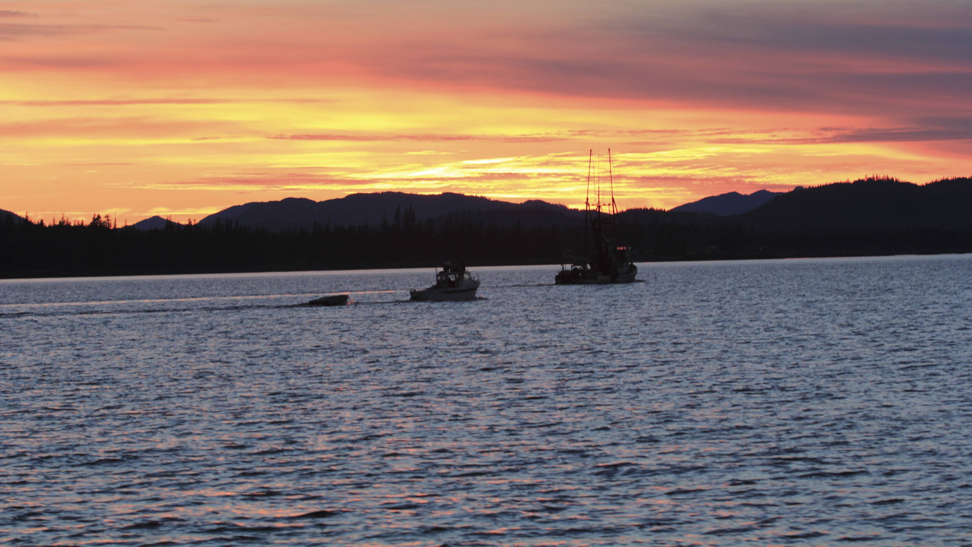 العودة إلى البرية