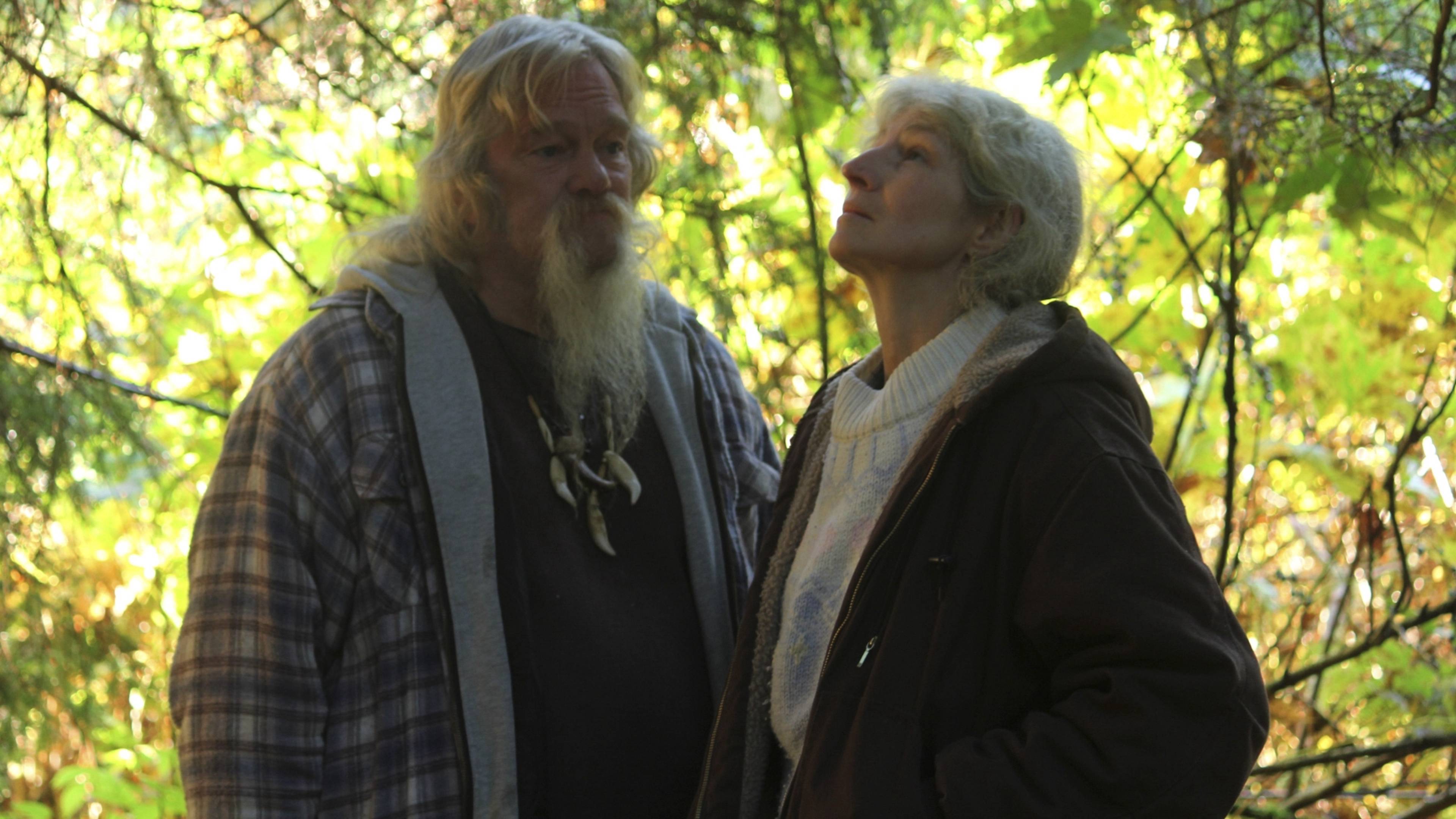 بيردي أحضر سلاحك