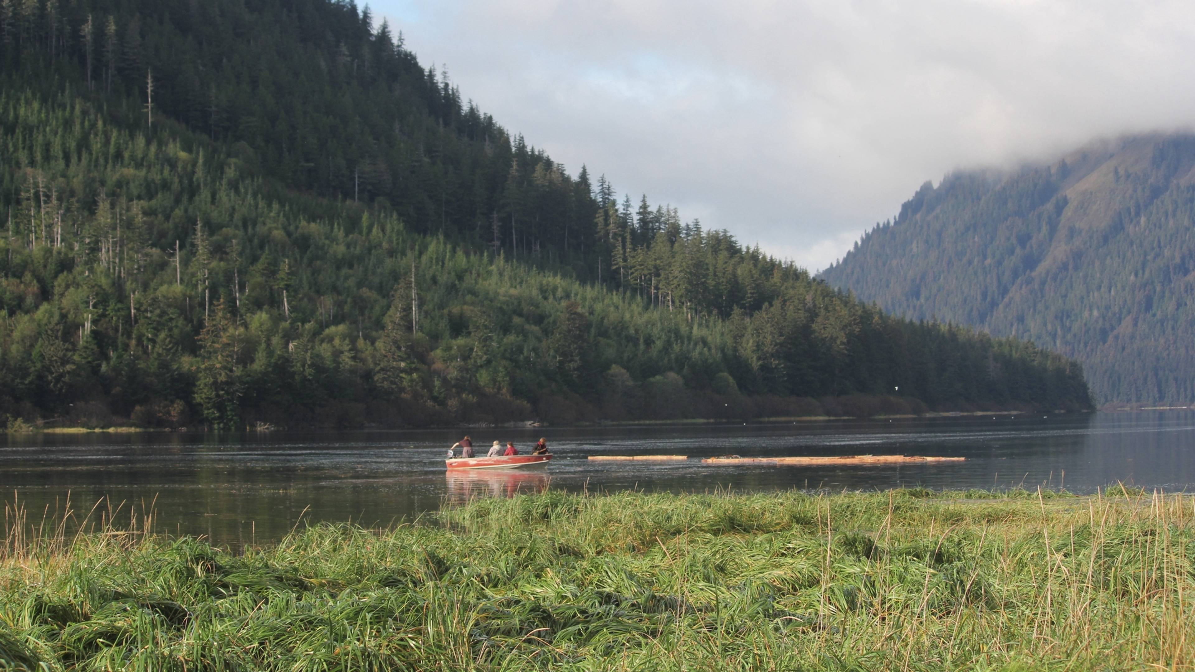 المزيد من الضغط