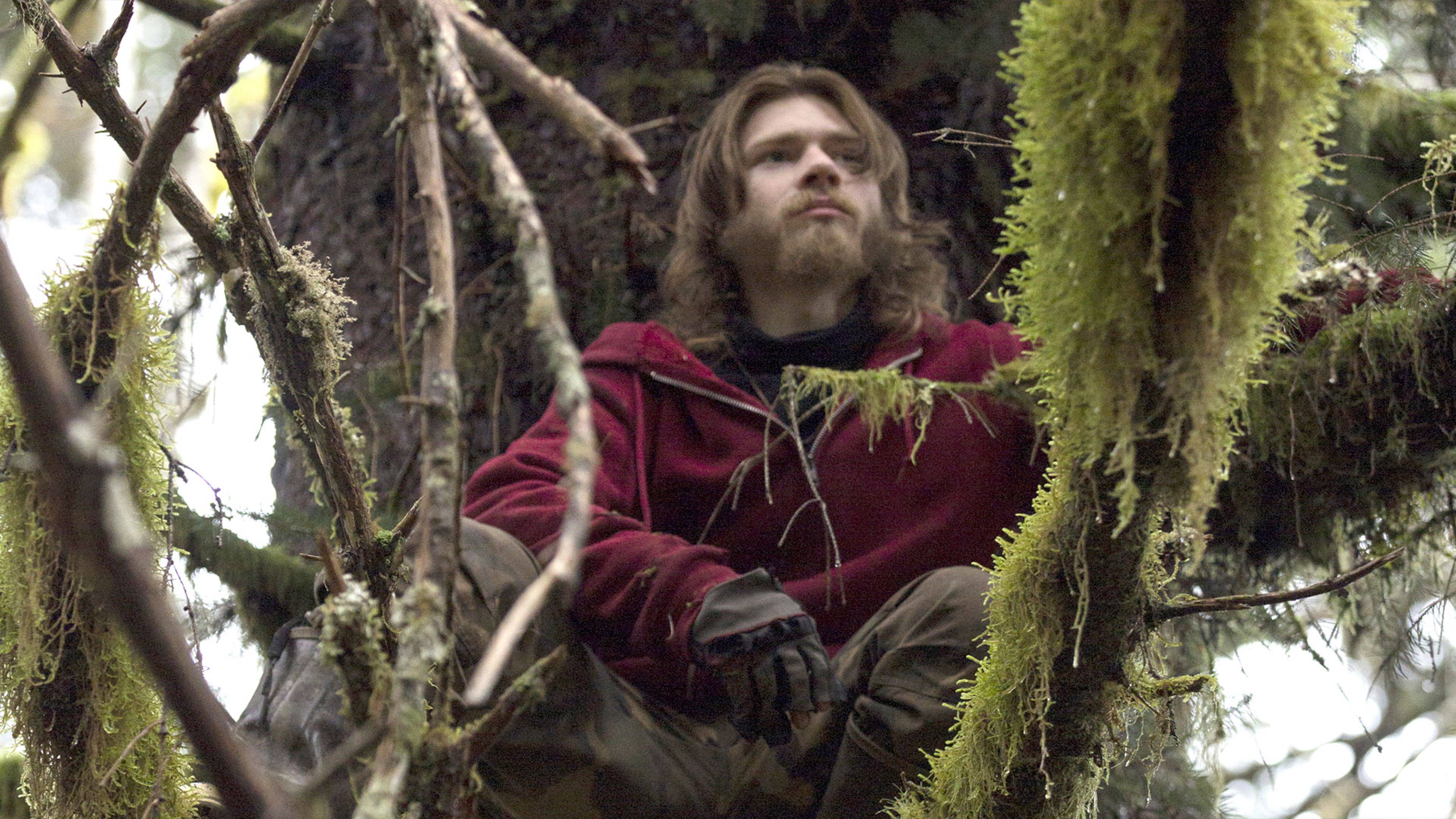 نهوض براونتاون