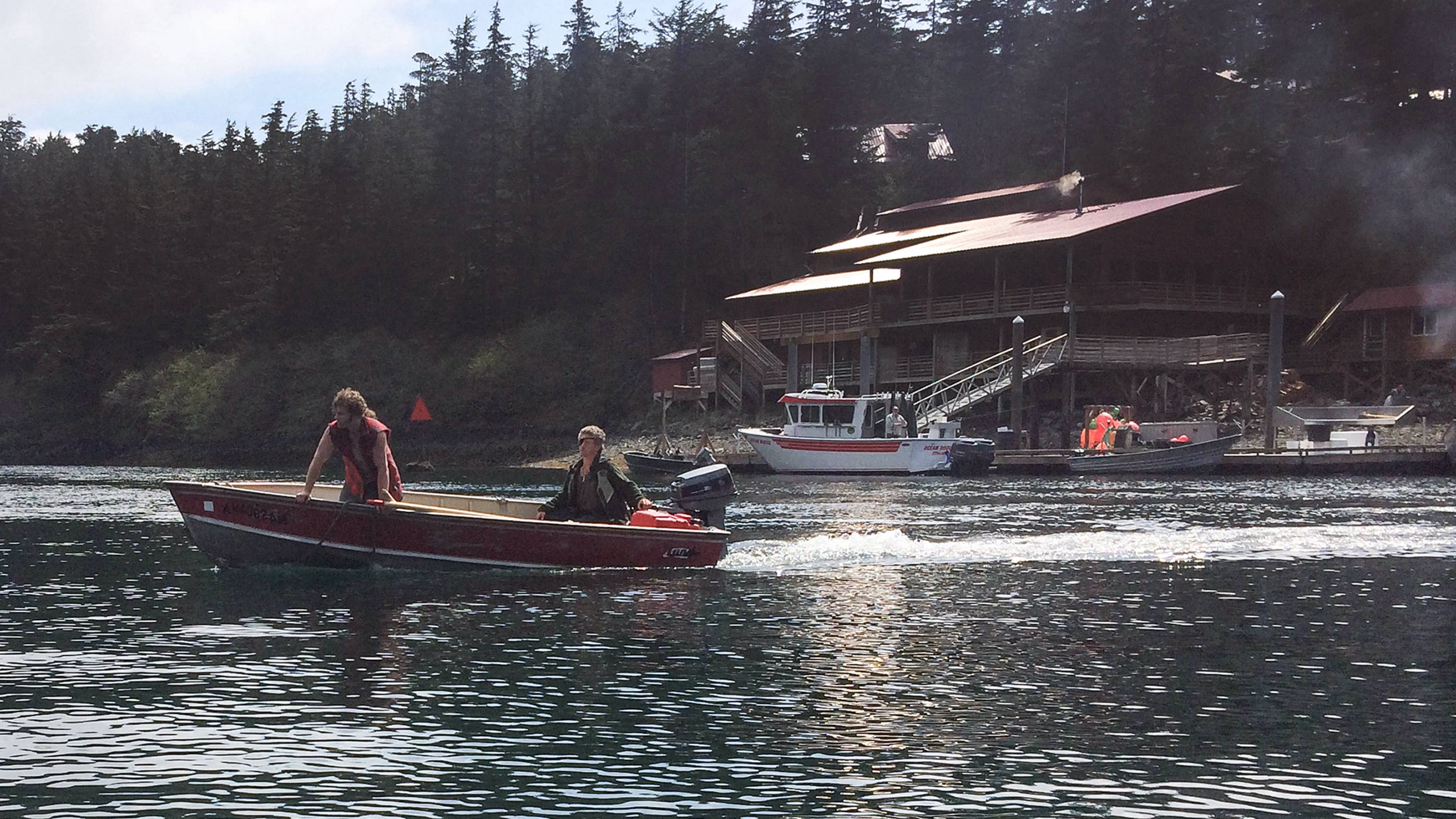 لا تستسلم أبداً