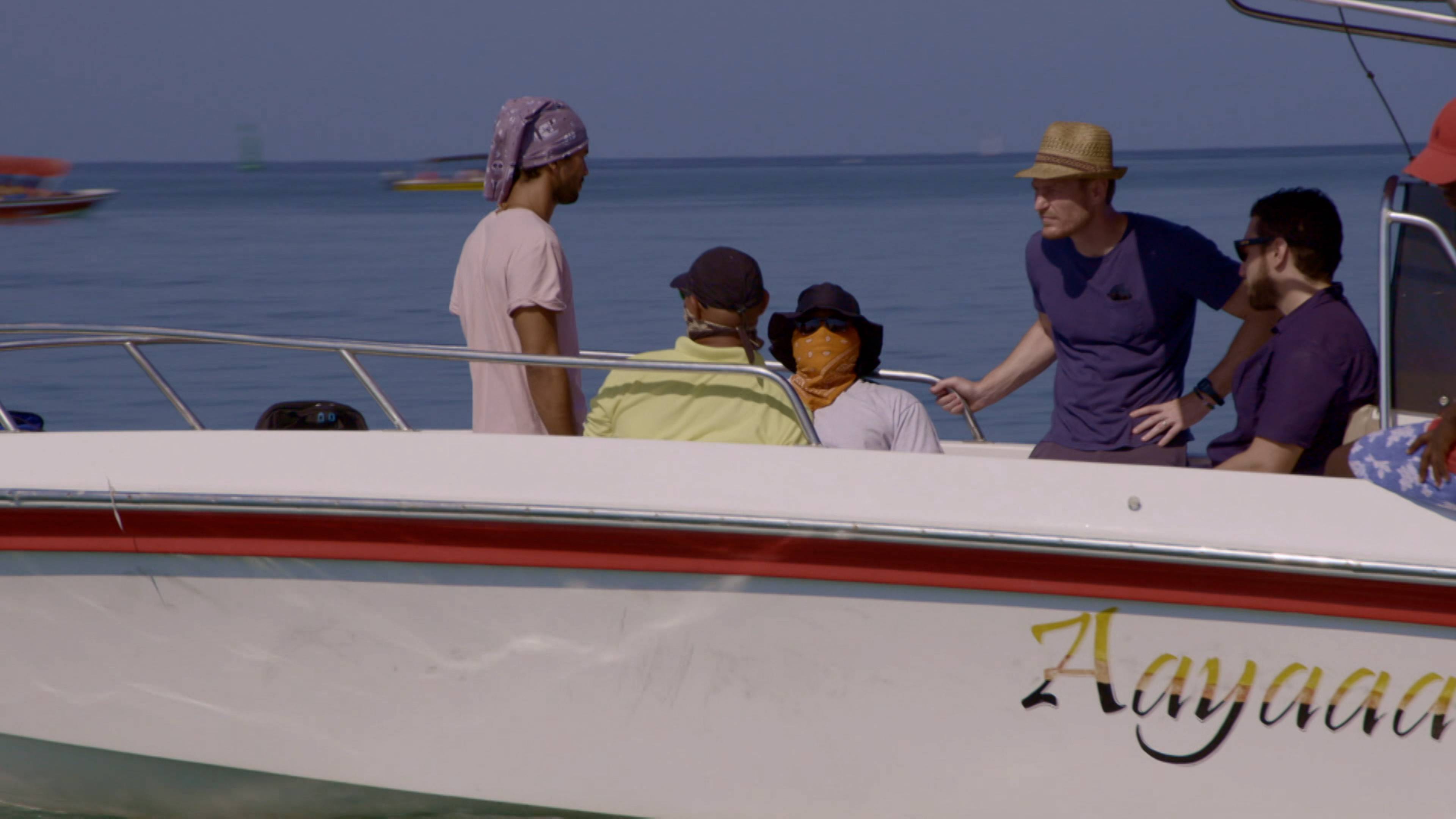 الحياة الجيدة