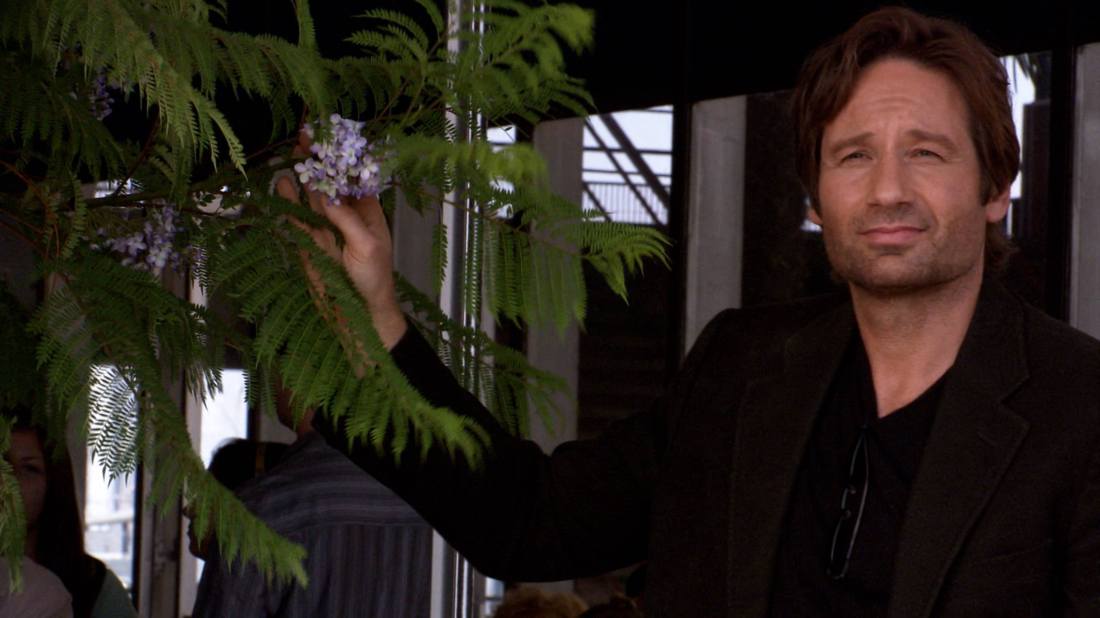 ابن كاليفورنيا