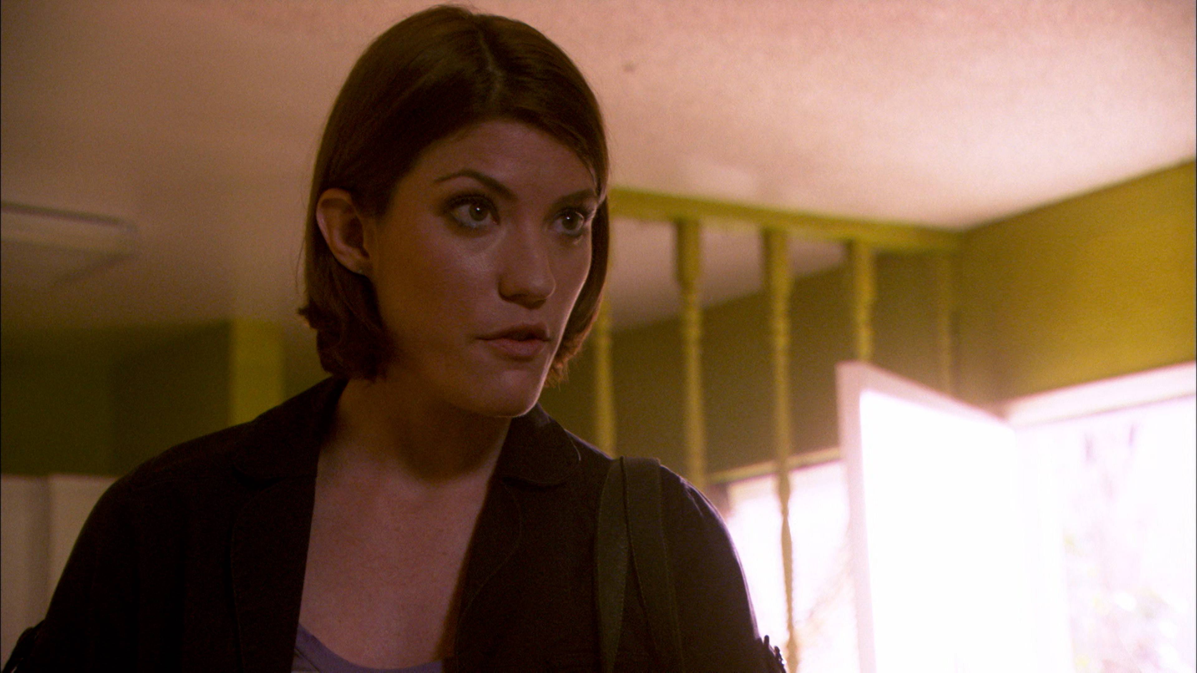 The Lion Sleeps Tonight