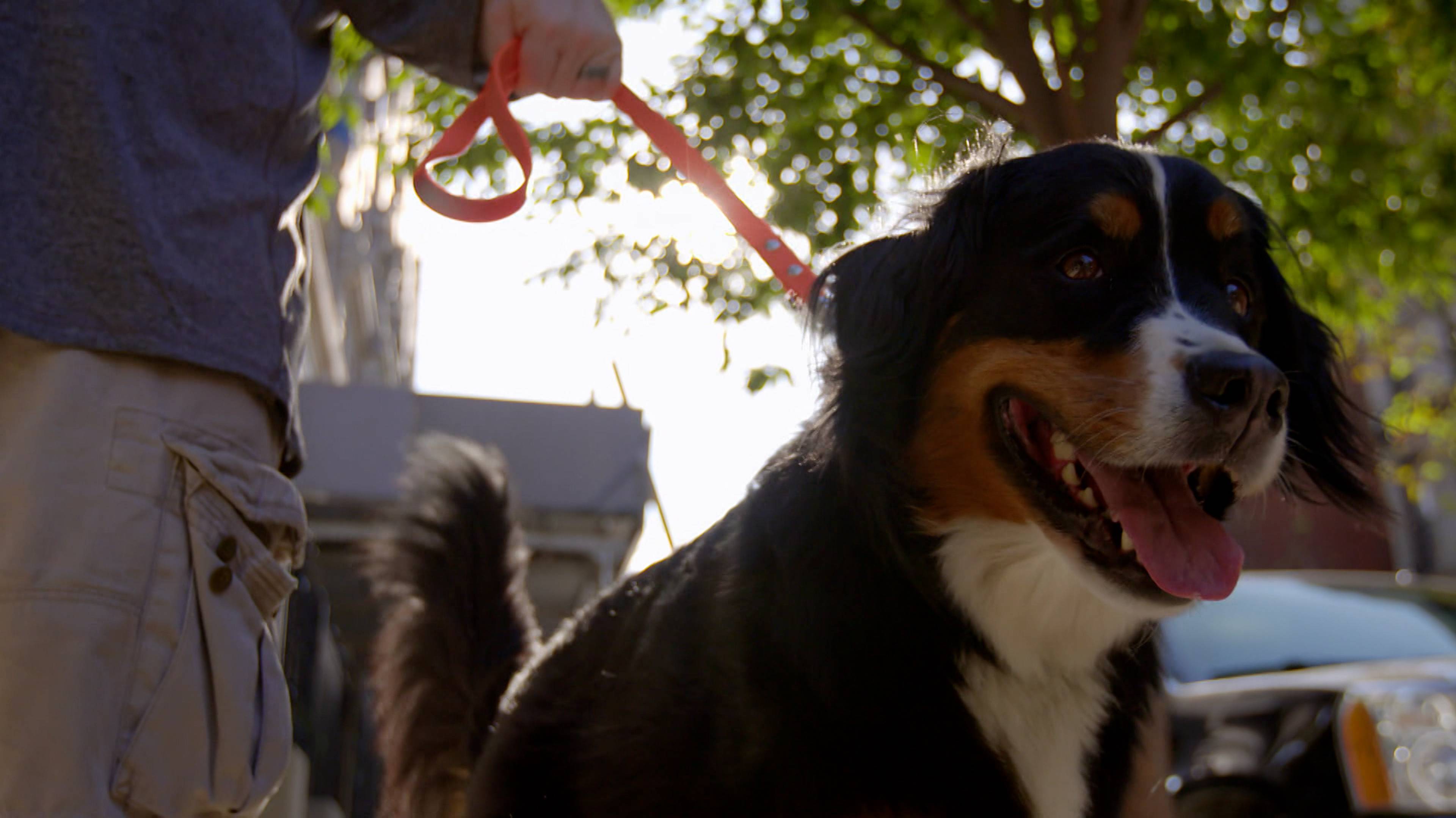 الوحدة تصنع القوة