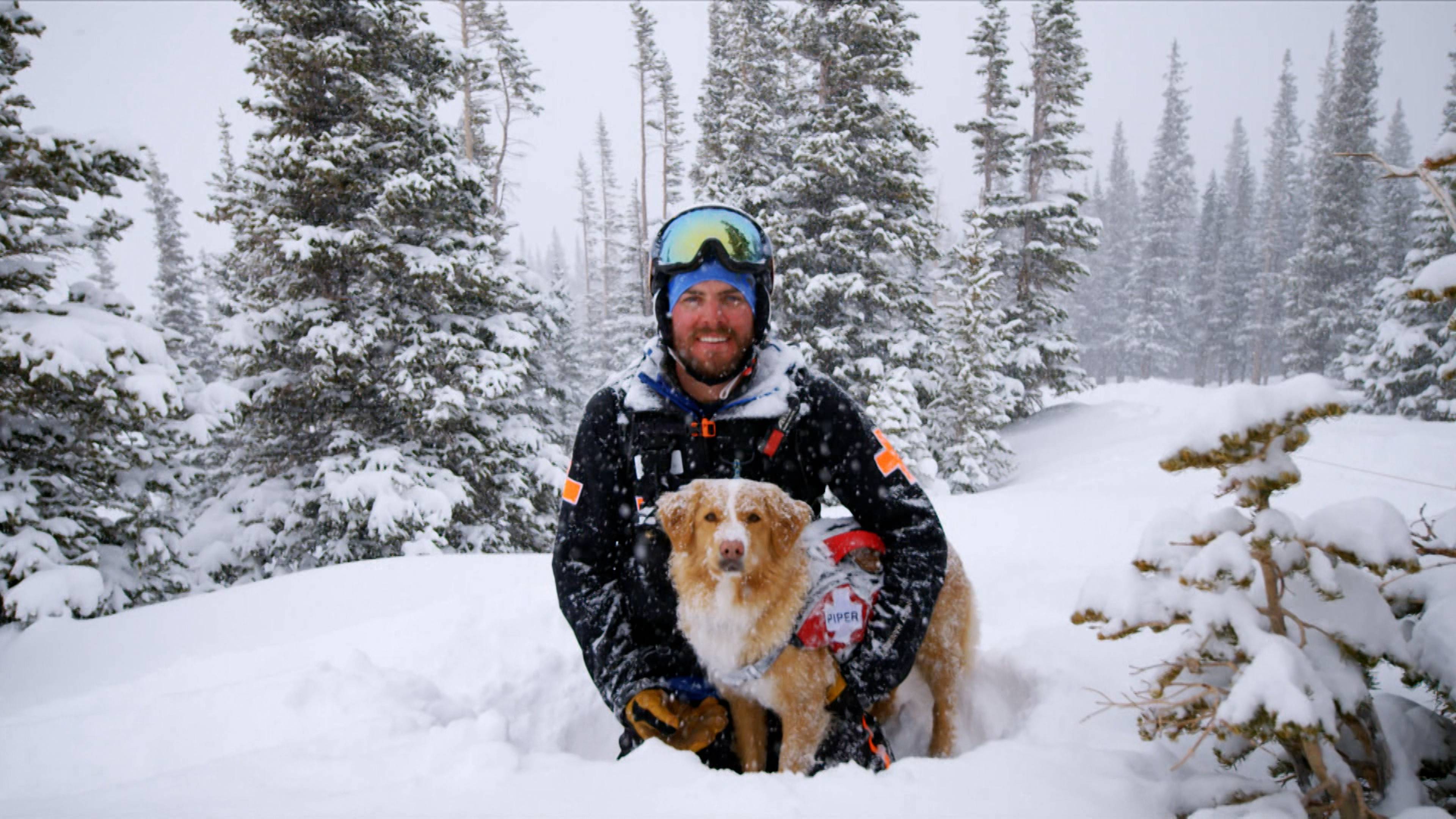 أبطال البرية