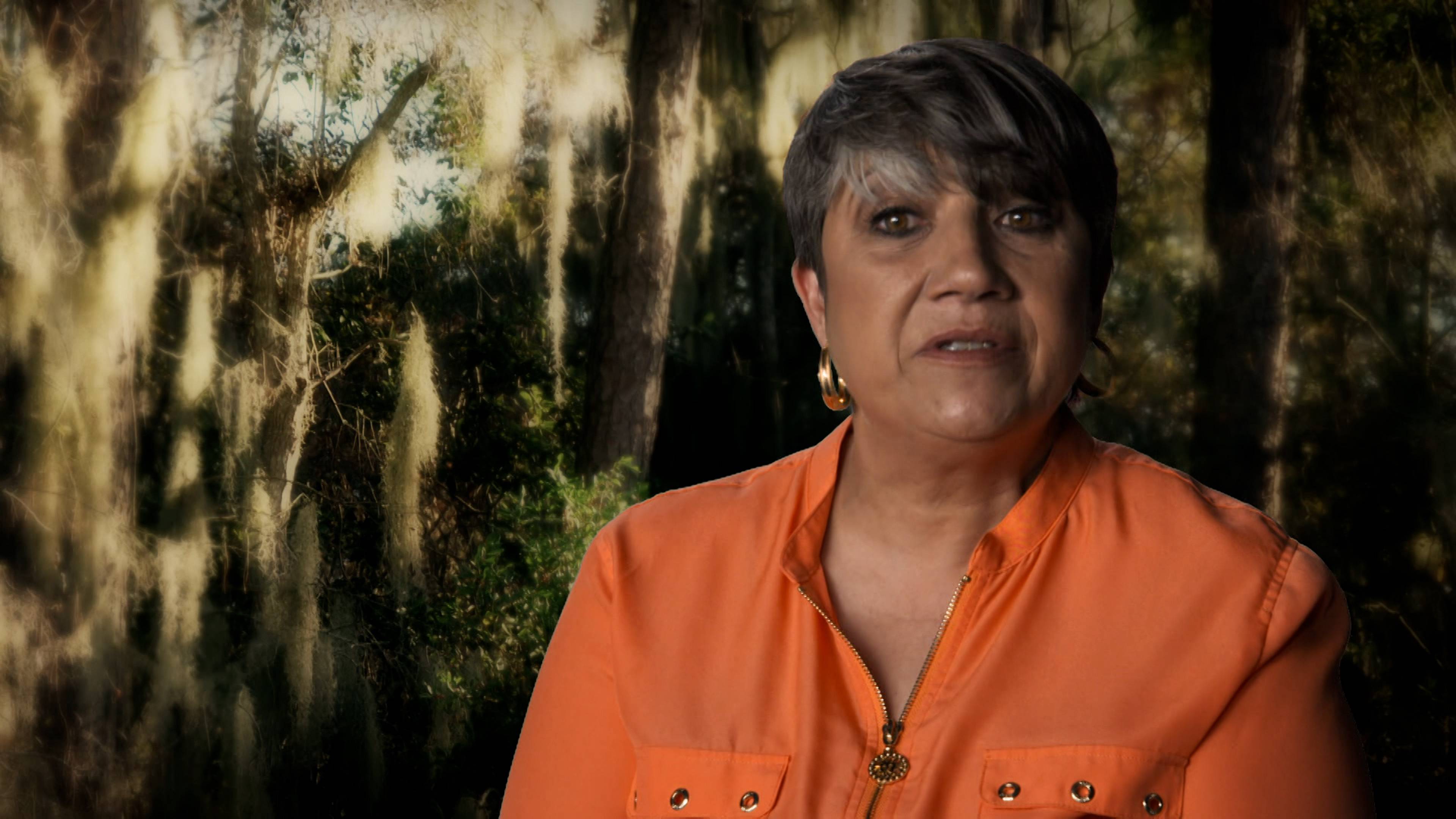 Mystery At Palm Beach