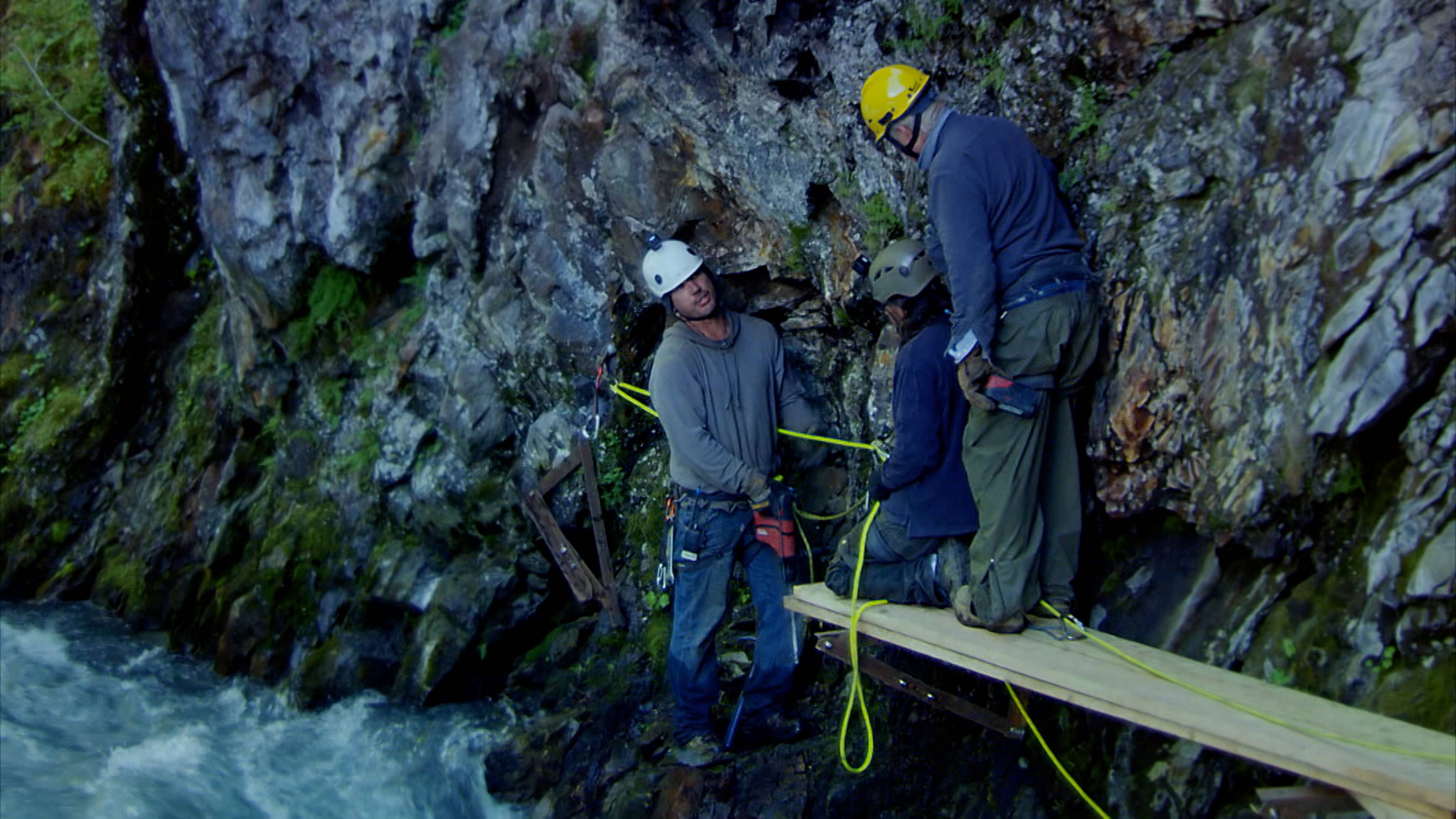 بين الجنون واللامعقول