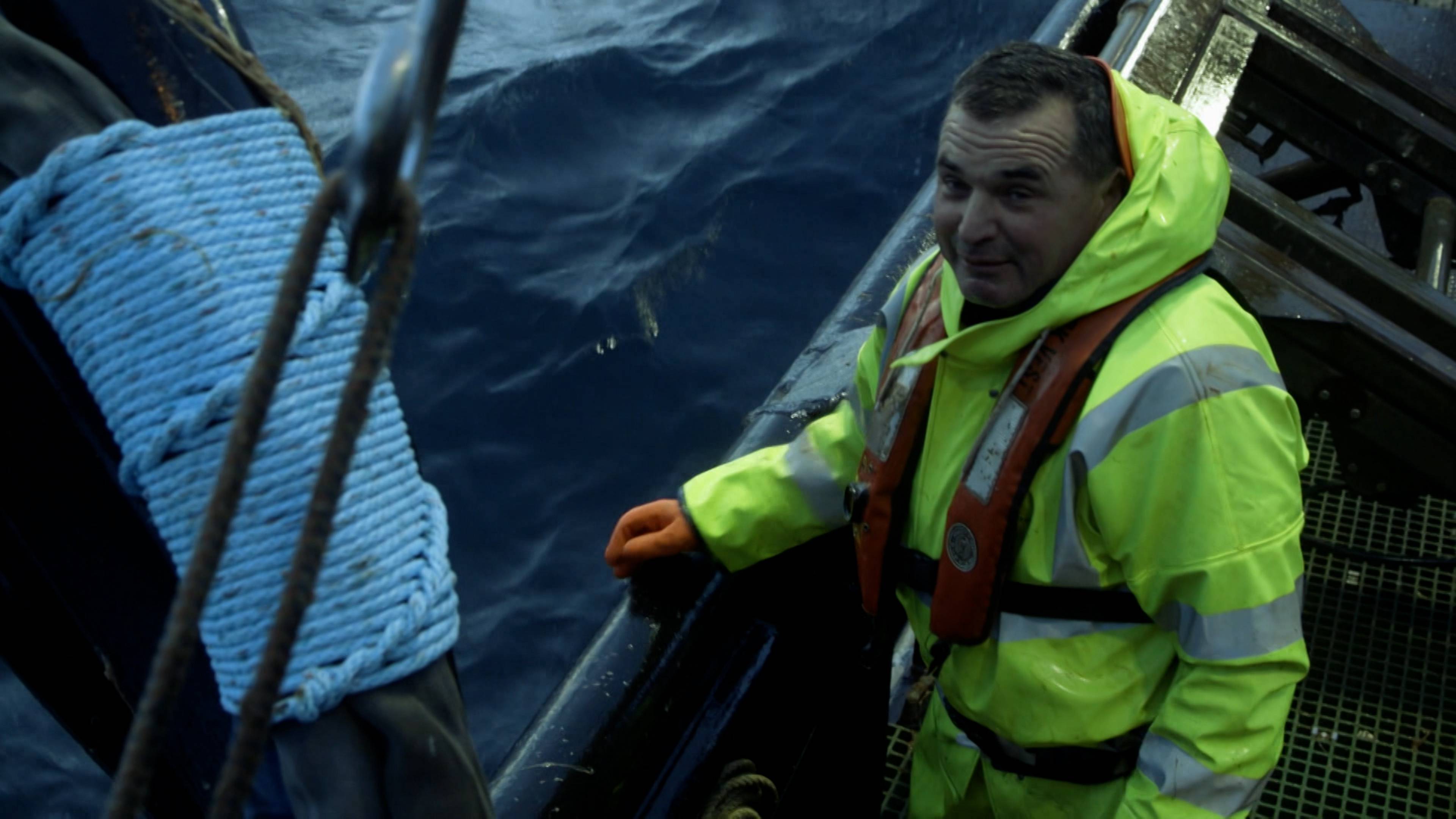 أصبح قائداً