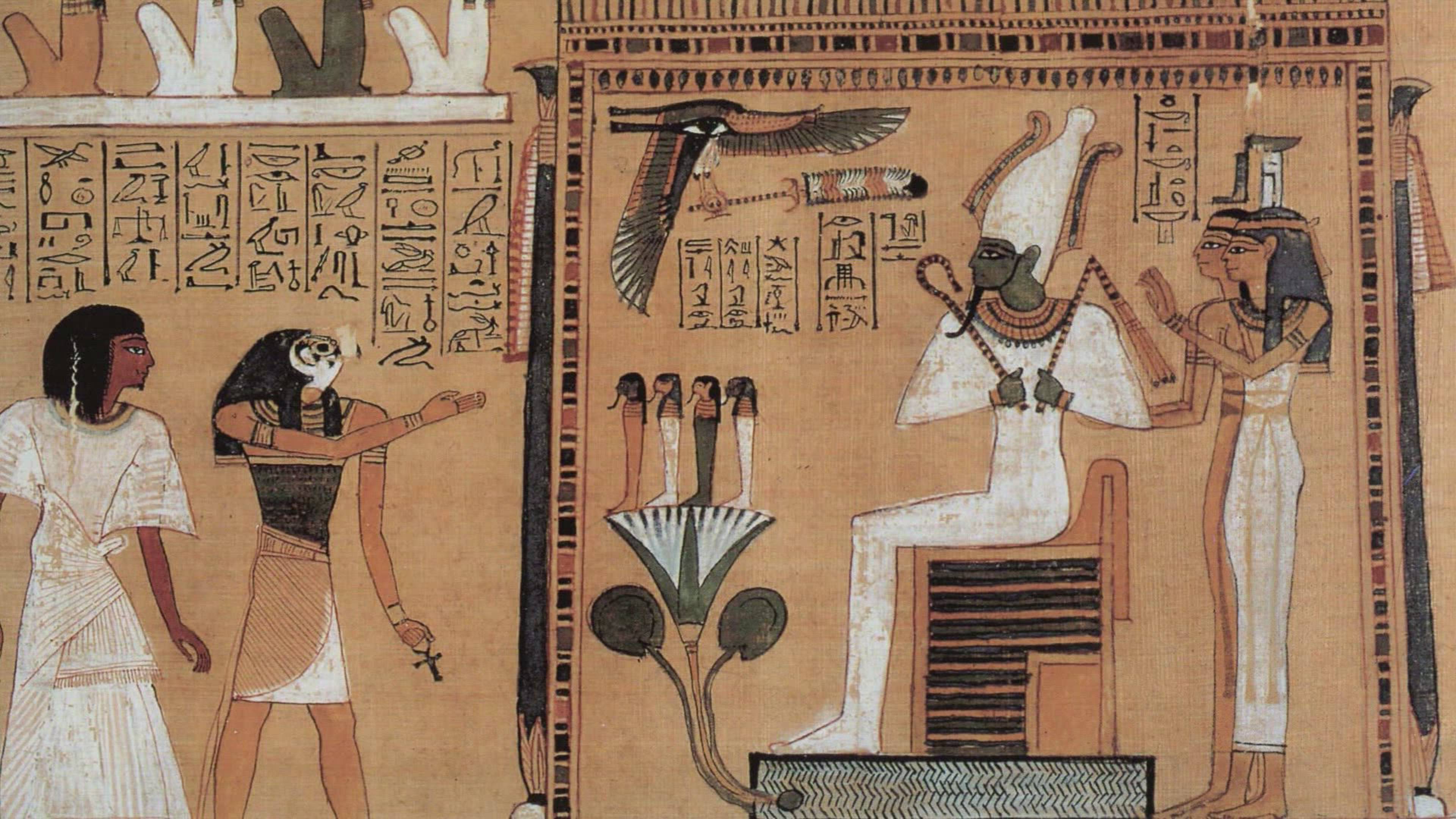 The Artificial Human