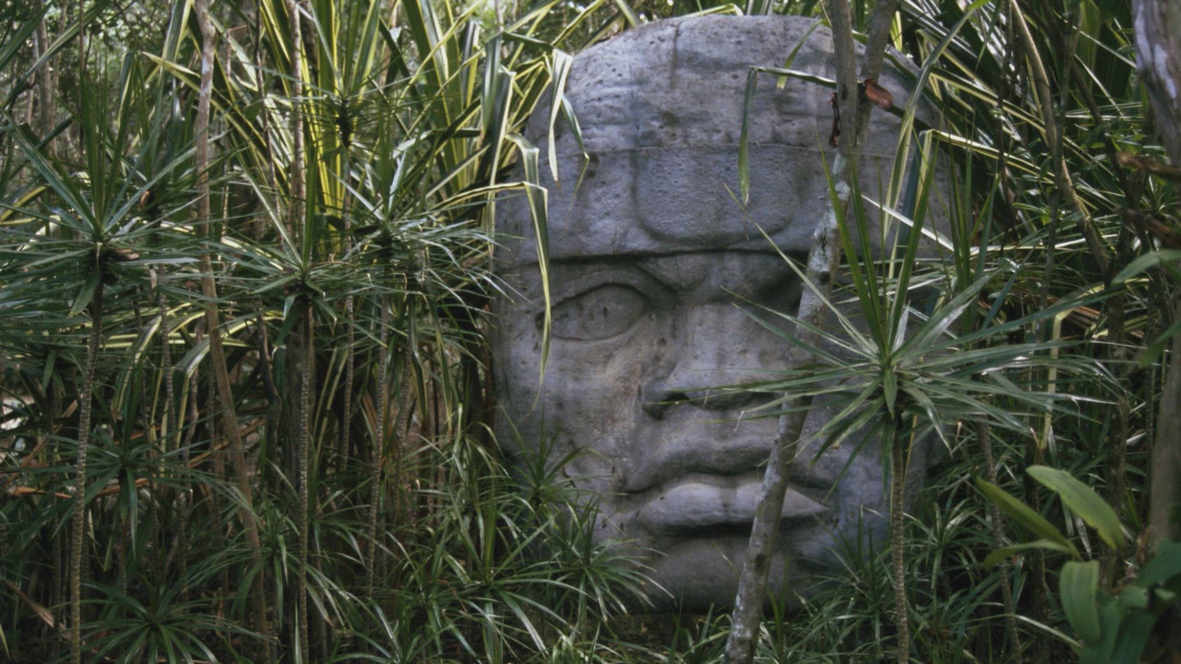 The Alien Phenomenon