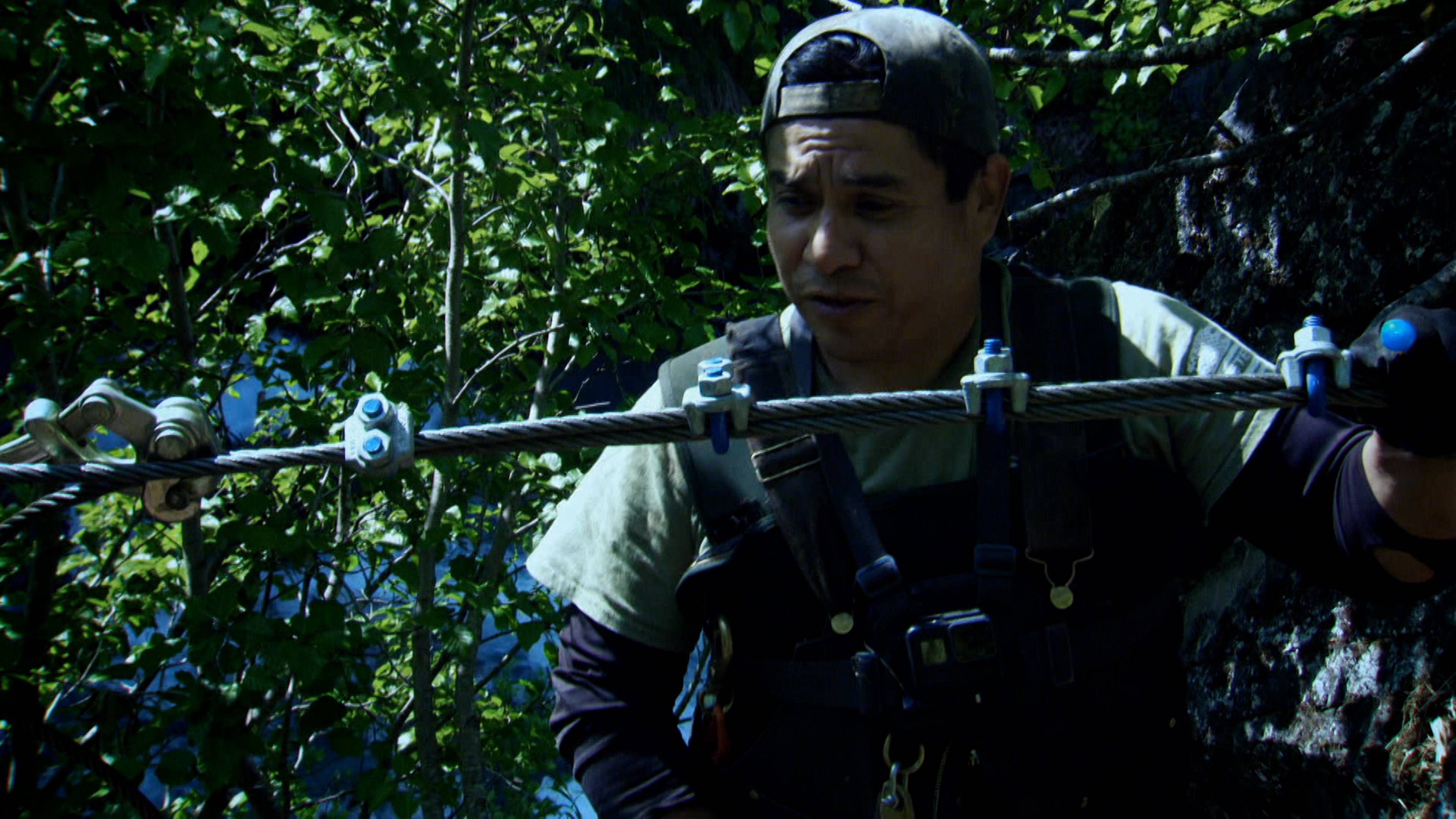 لا شجاعة، لا مجد