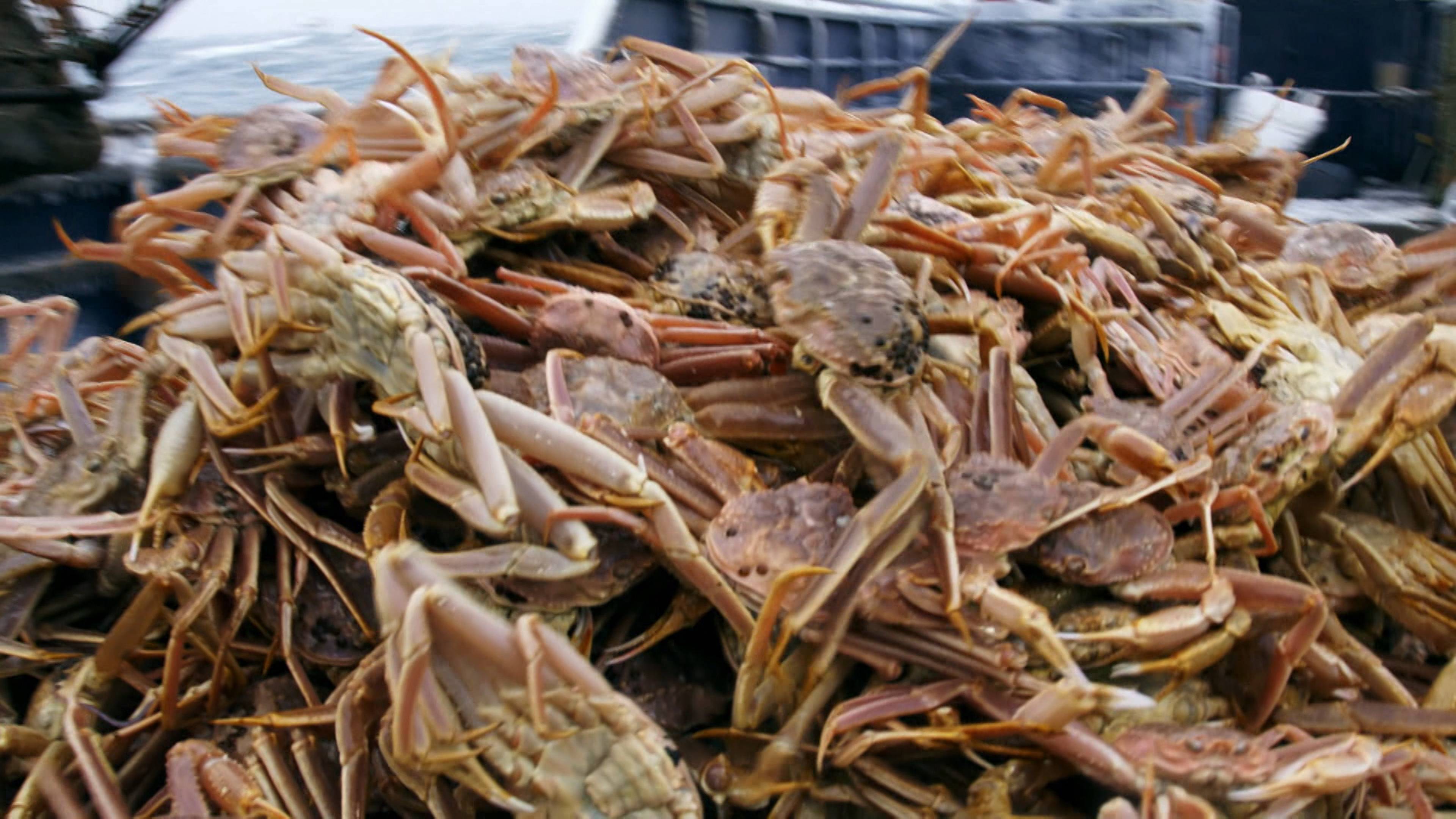 العاصفة المدمرة