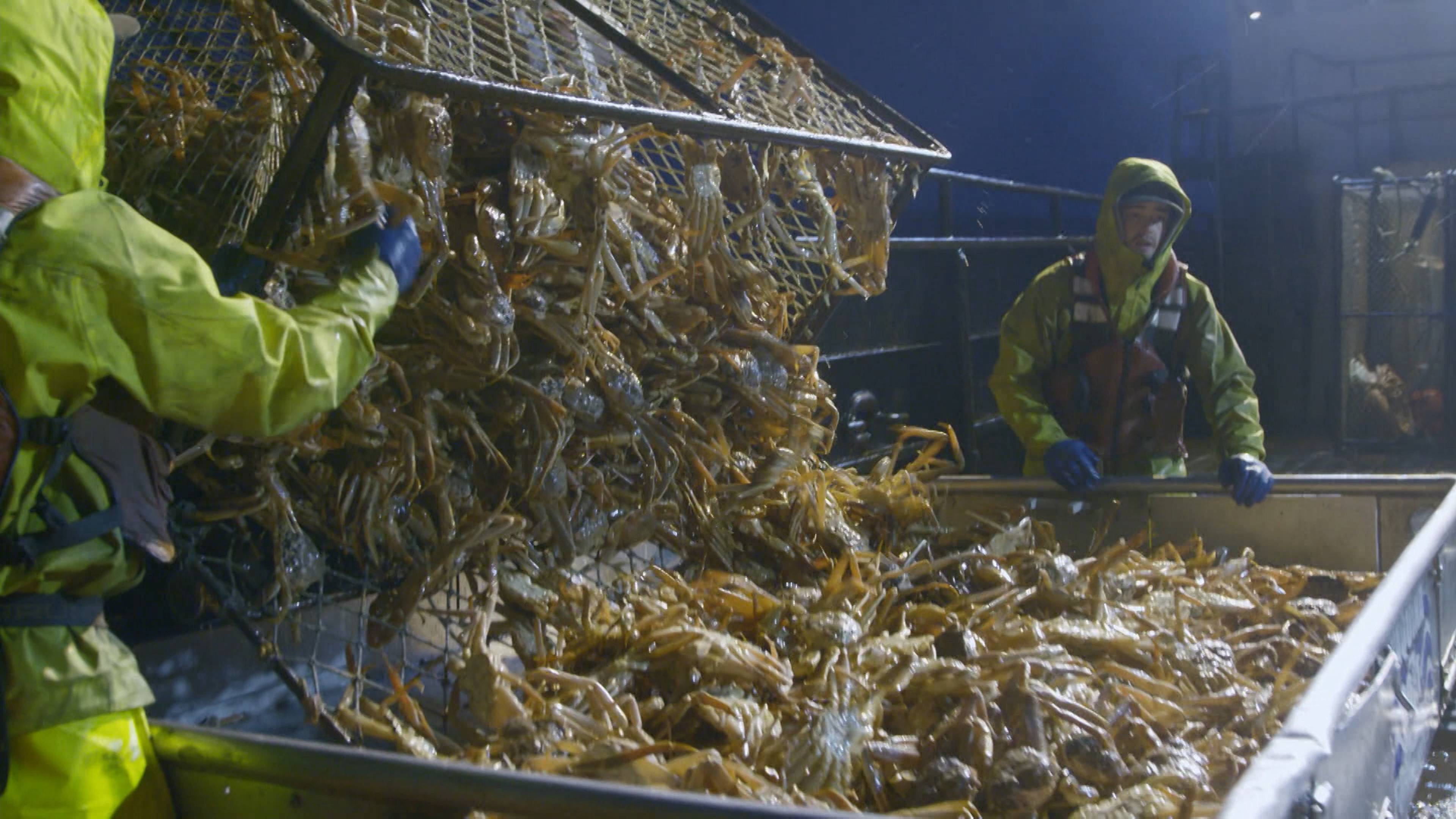 سفينة الظلام