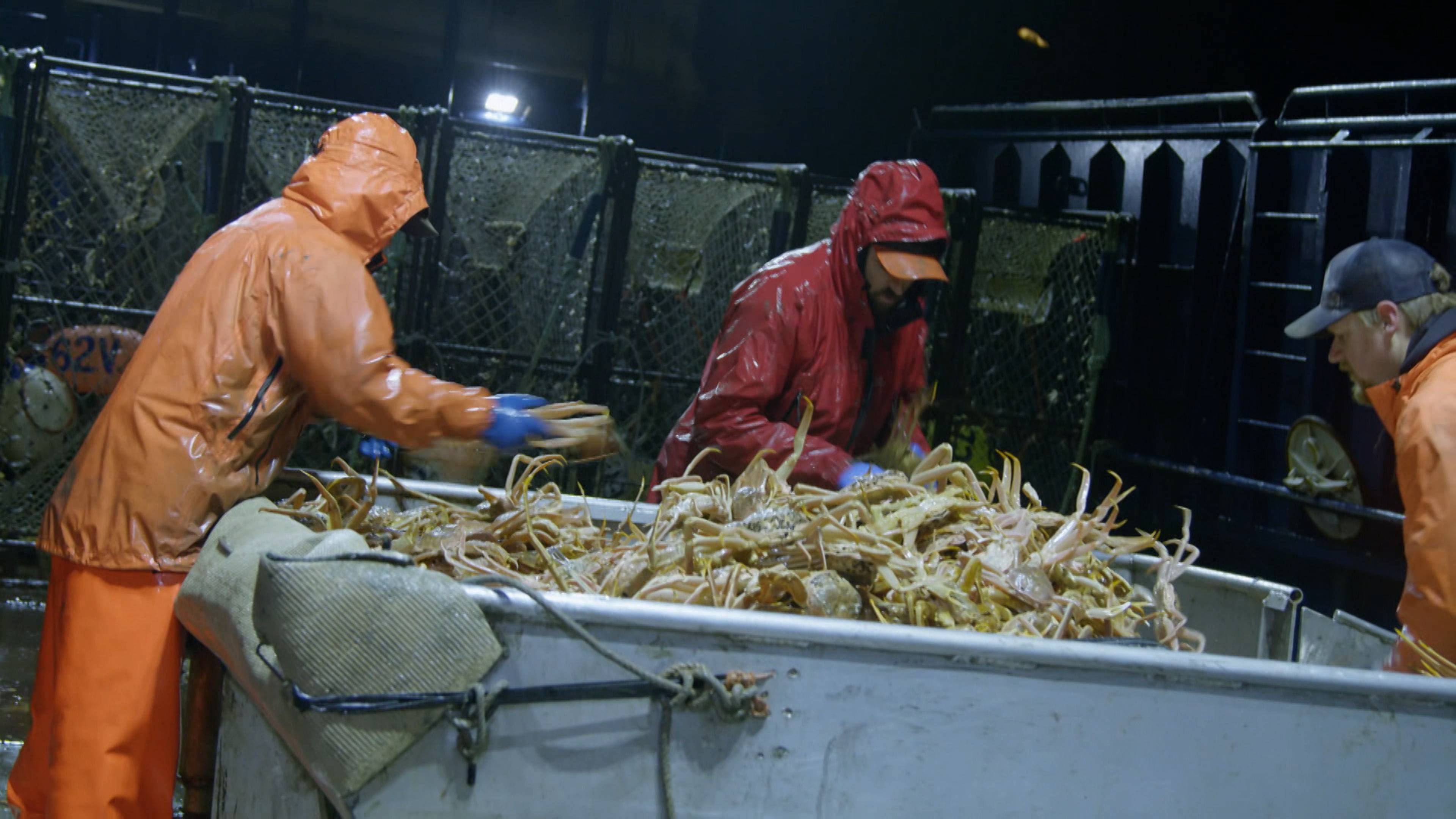 الوقت والبحر لا ينتظران أحداً