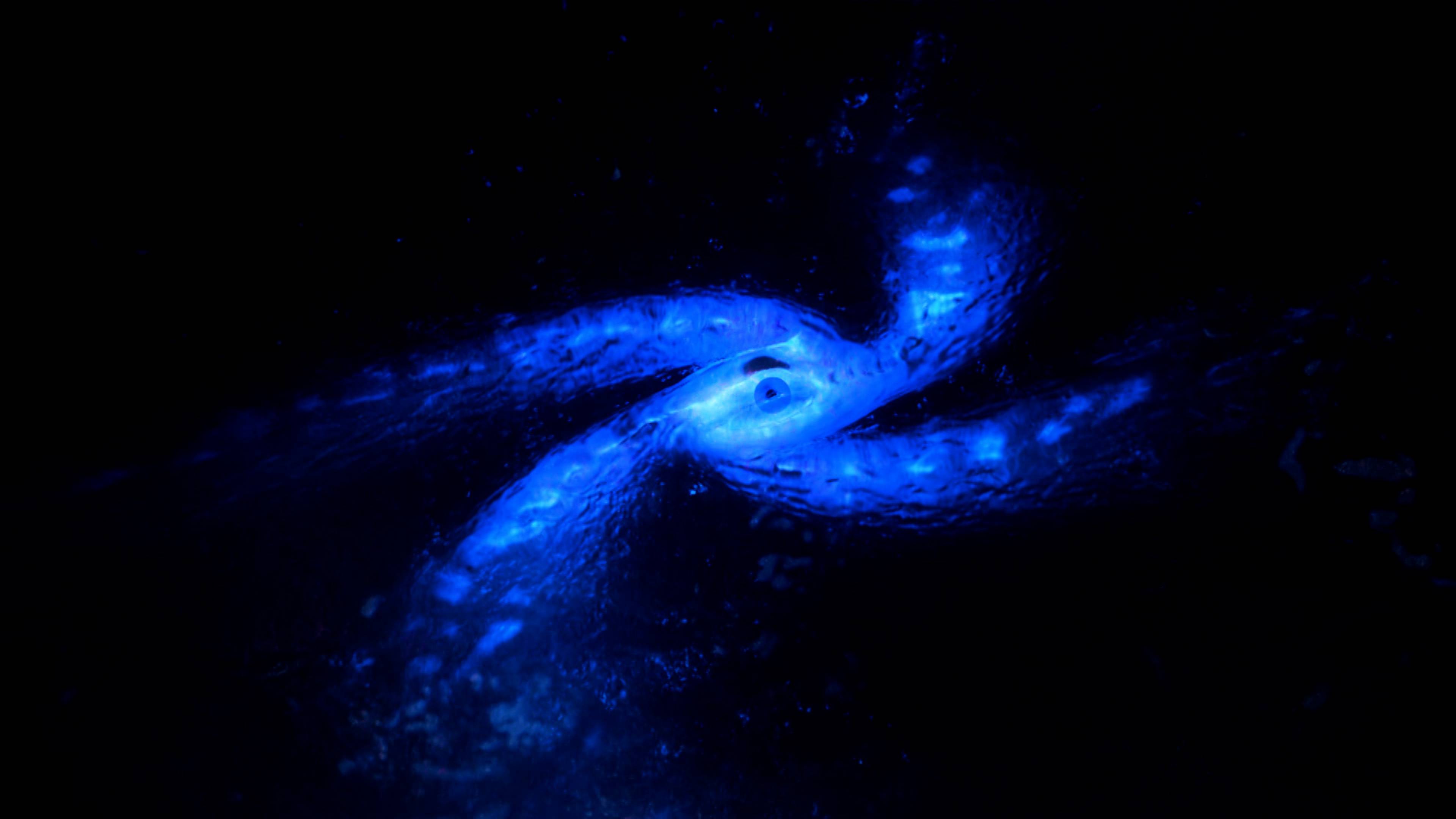 معركة الكون المظلم