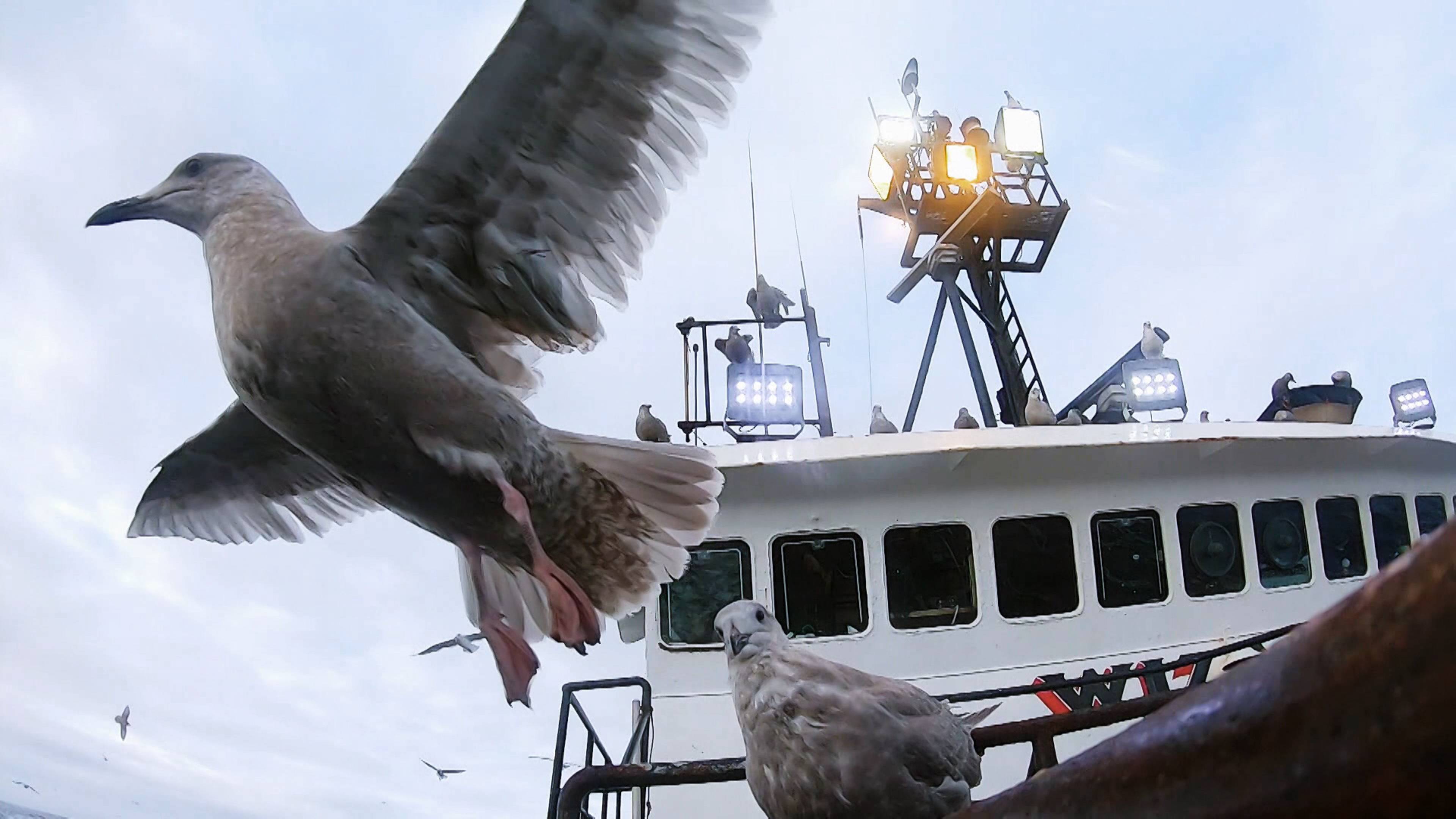 نقطة الانهيار