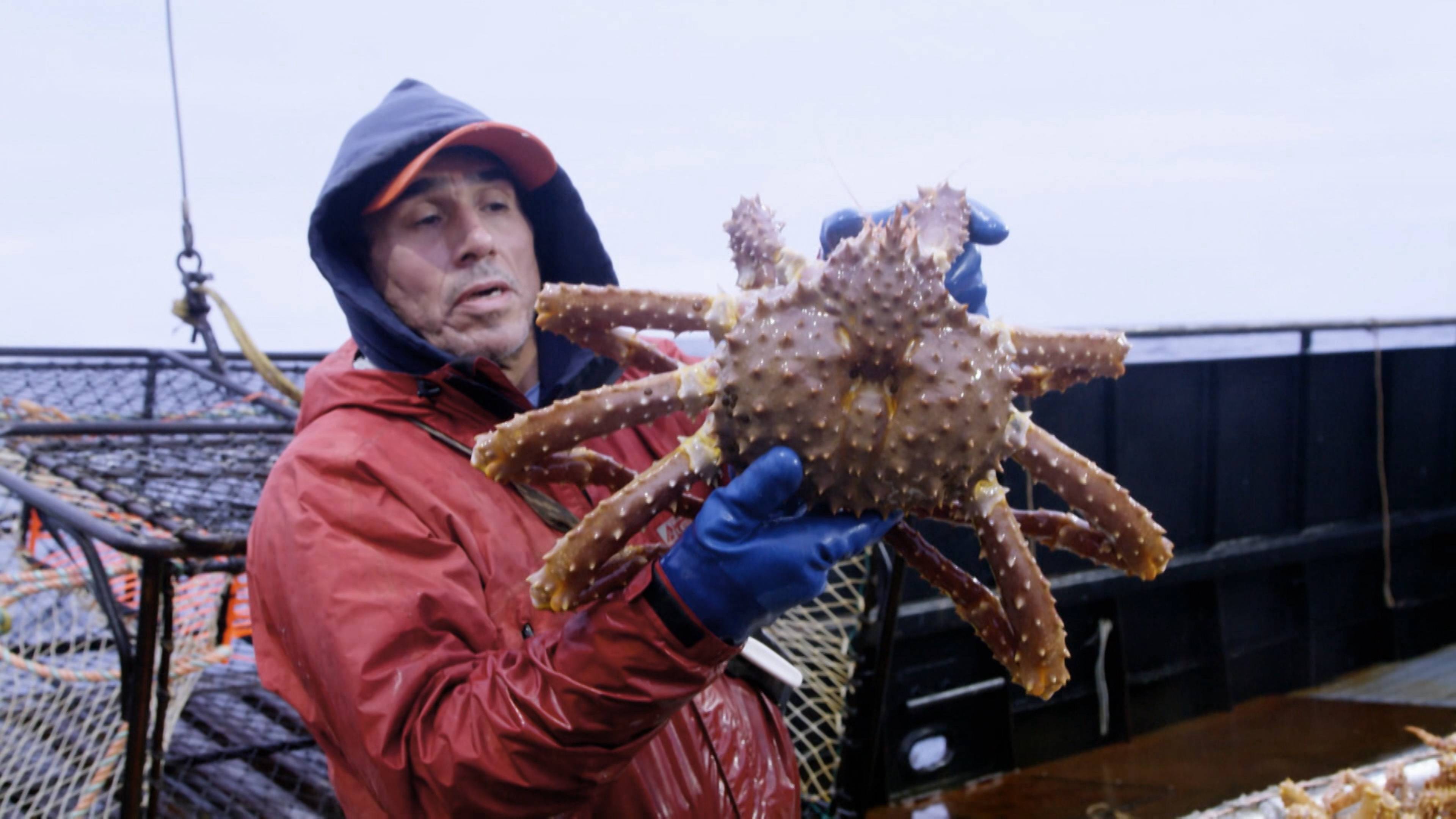 الحافة الدامية