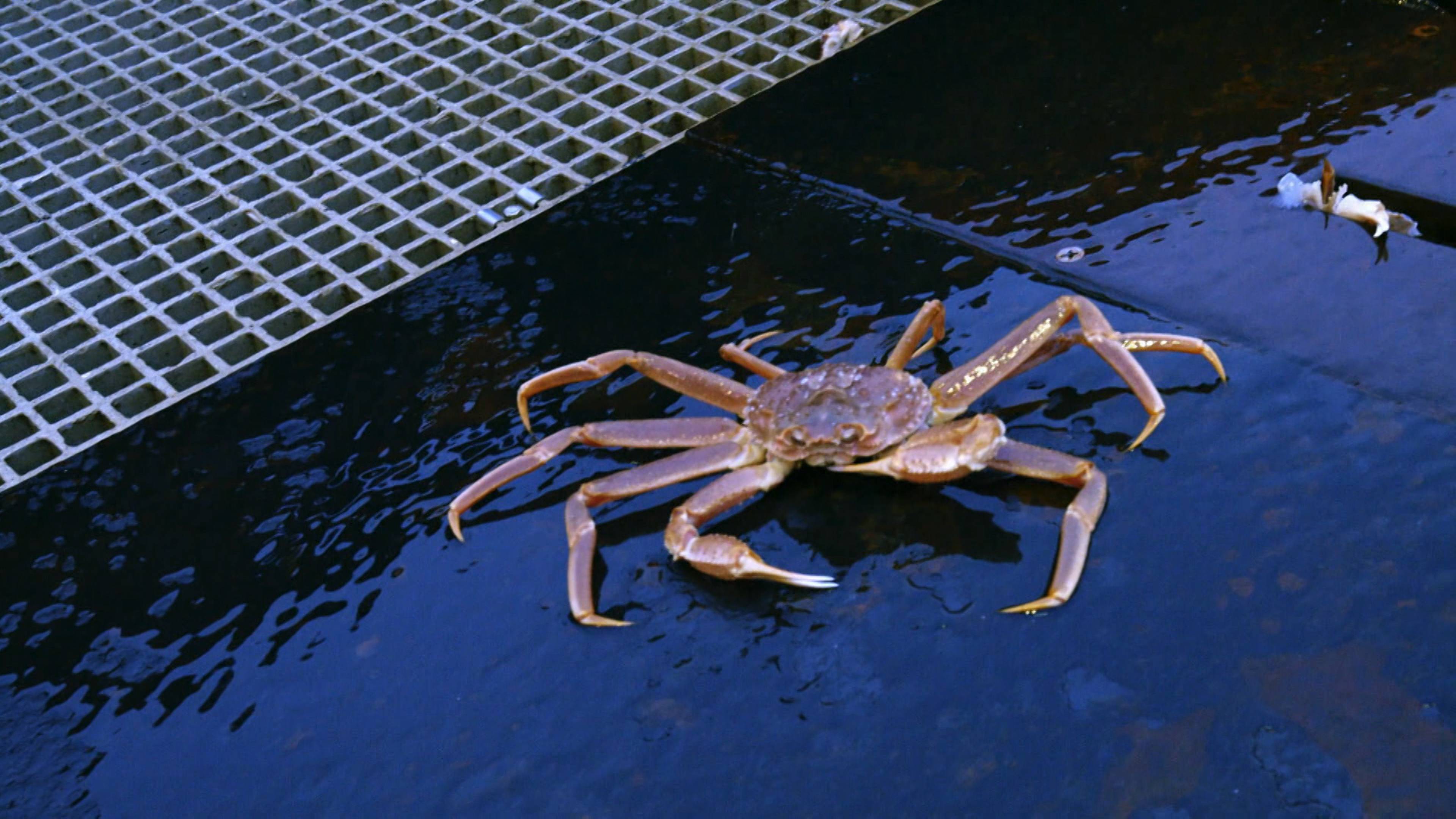 الحرب الباردة تشتعل