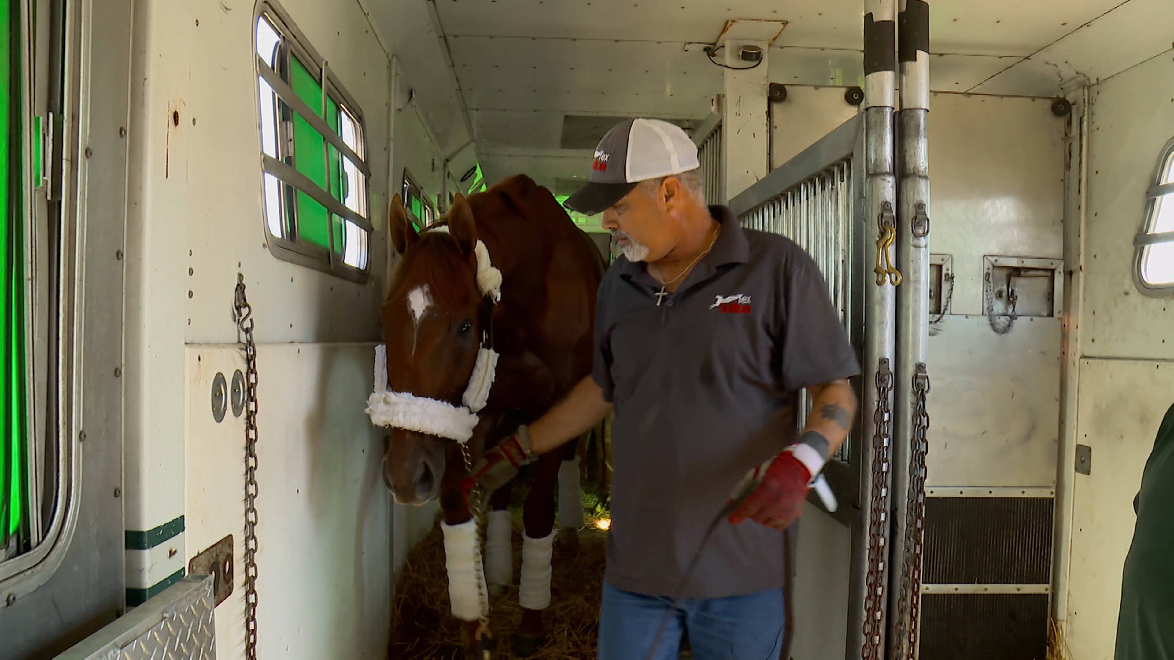 خيول طائرة، مجموعات شطرنج