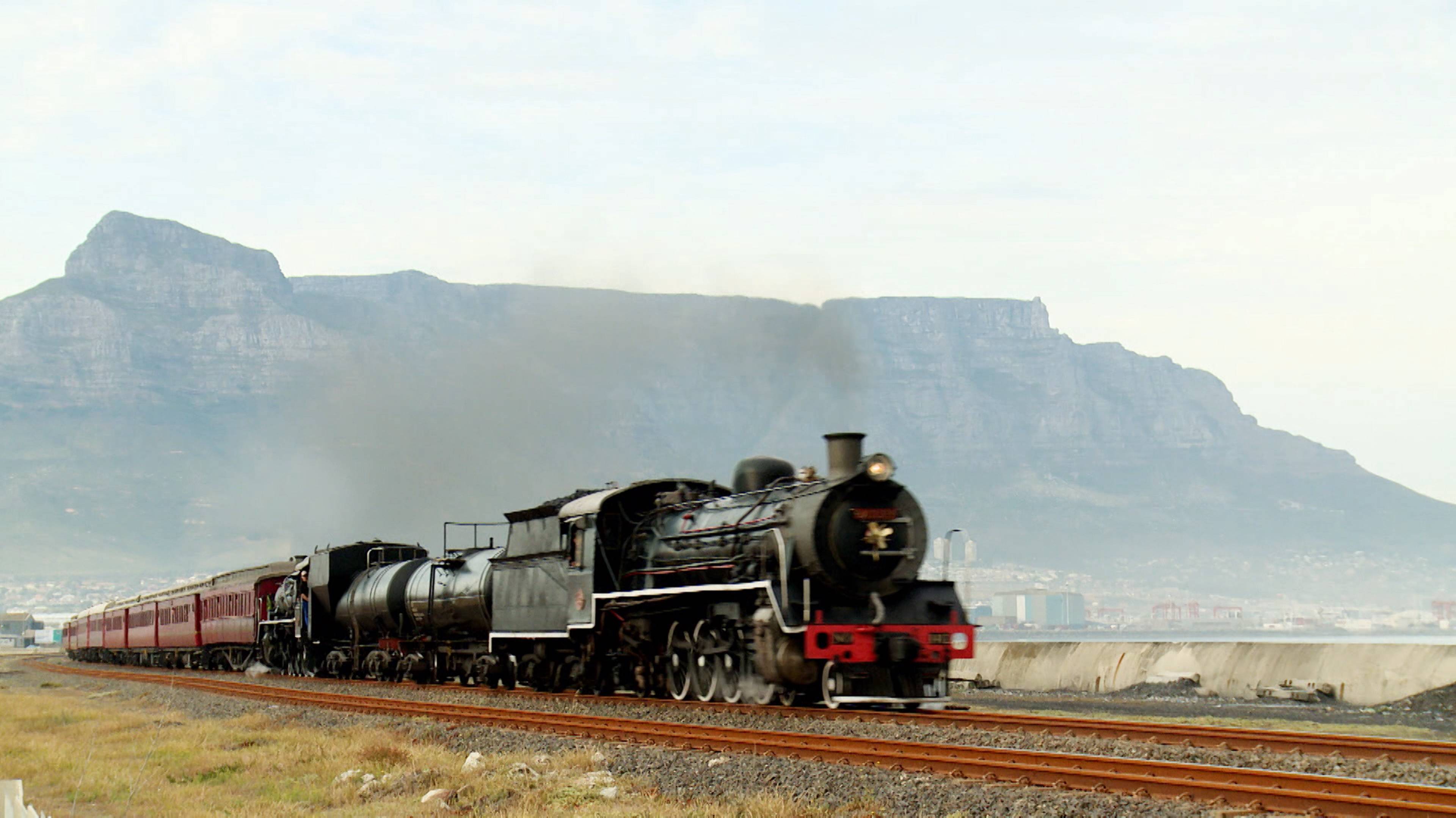 محار الجيودك وقطارات البخار