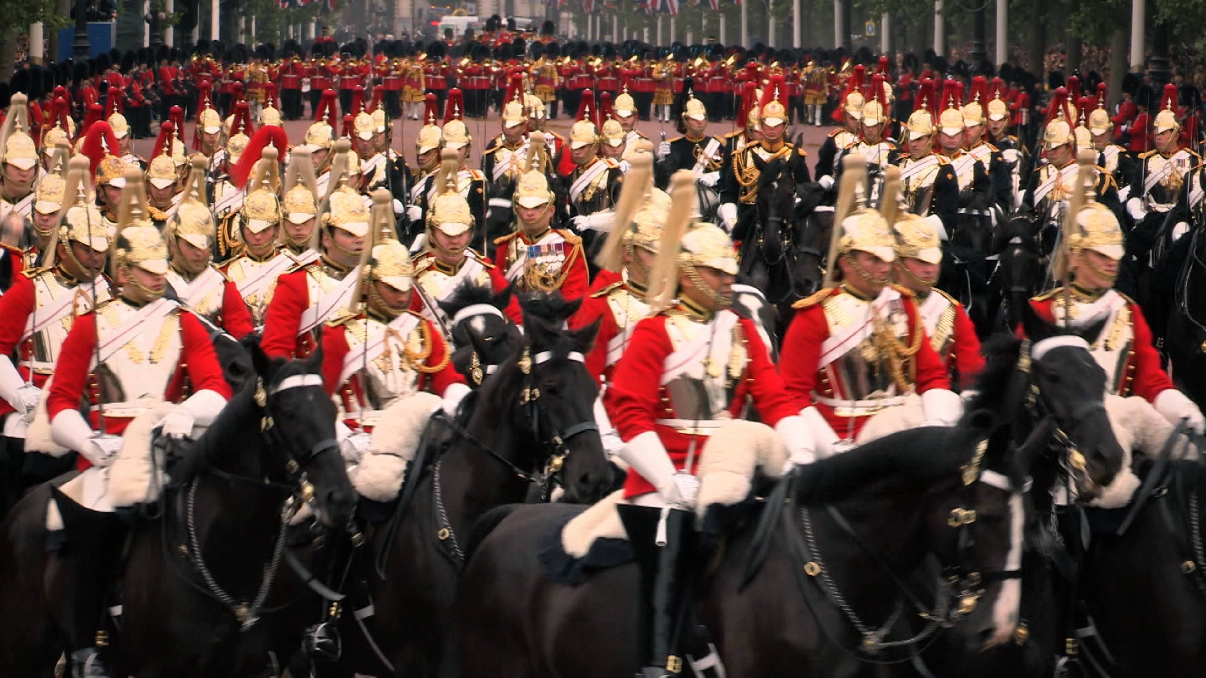 أرز بسمتي، طيور ميكانيكية