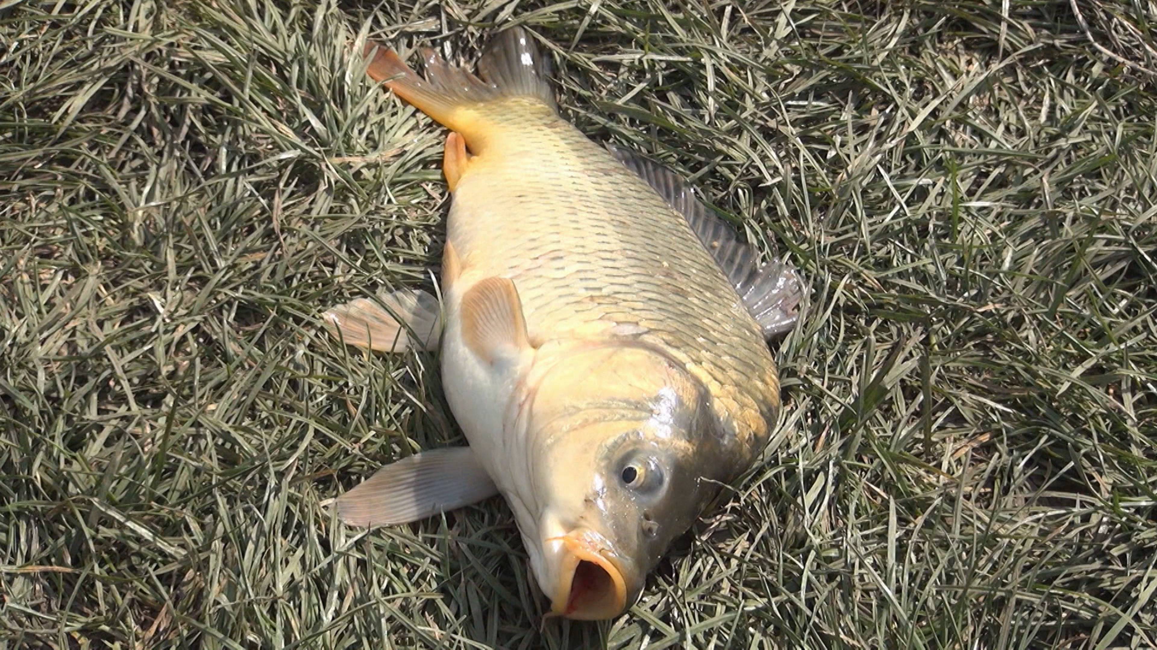 Extreme Weather Mysteries