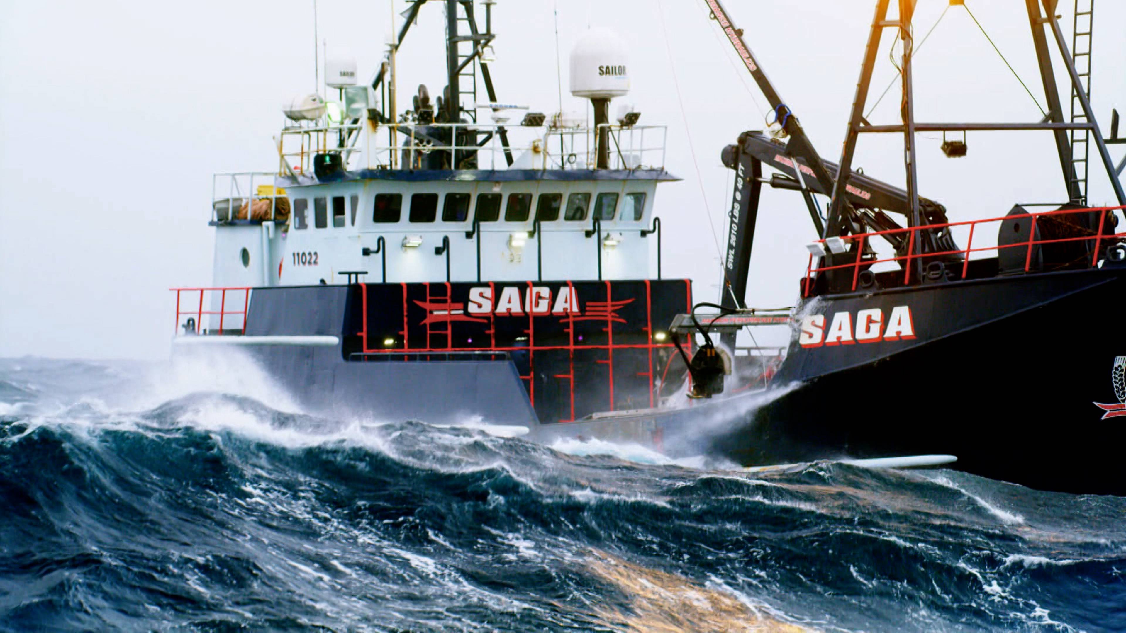 الضربة القاضية في بحر بيرينغ