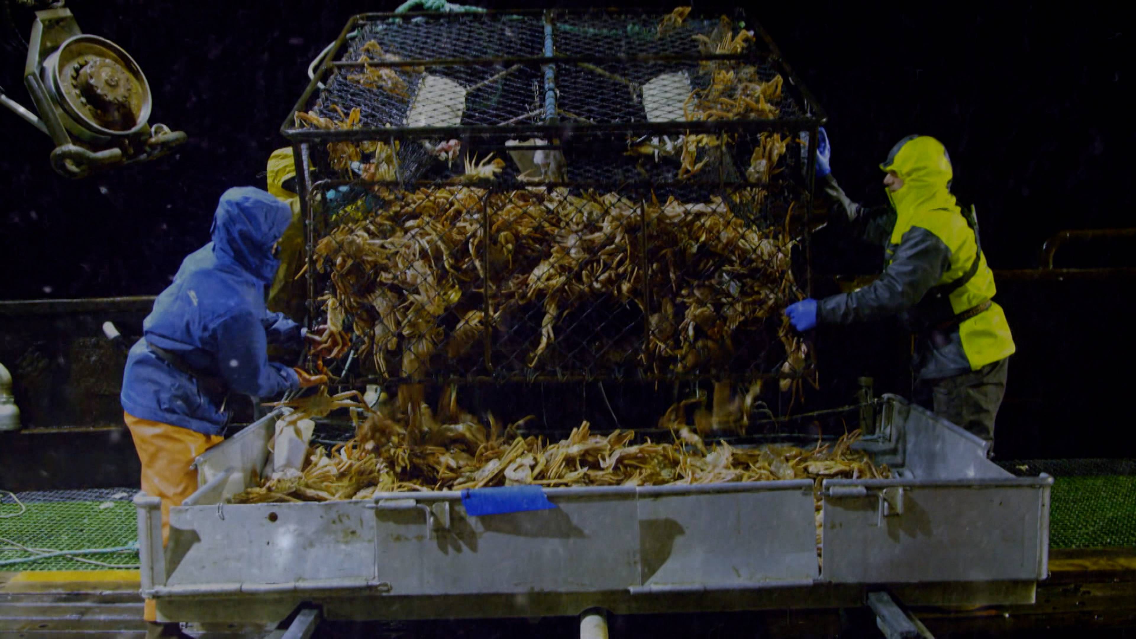 مشكلة عويصة