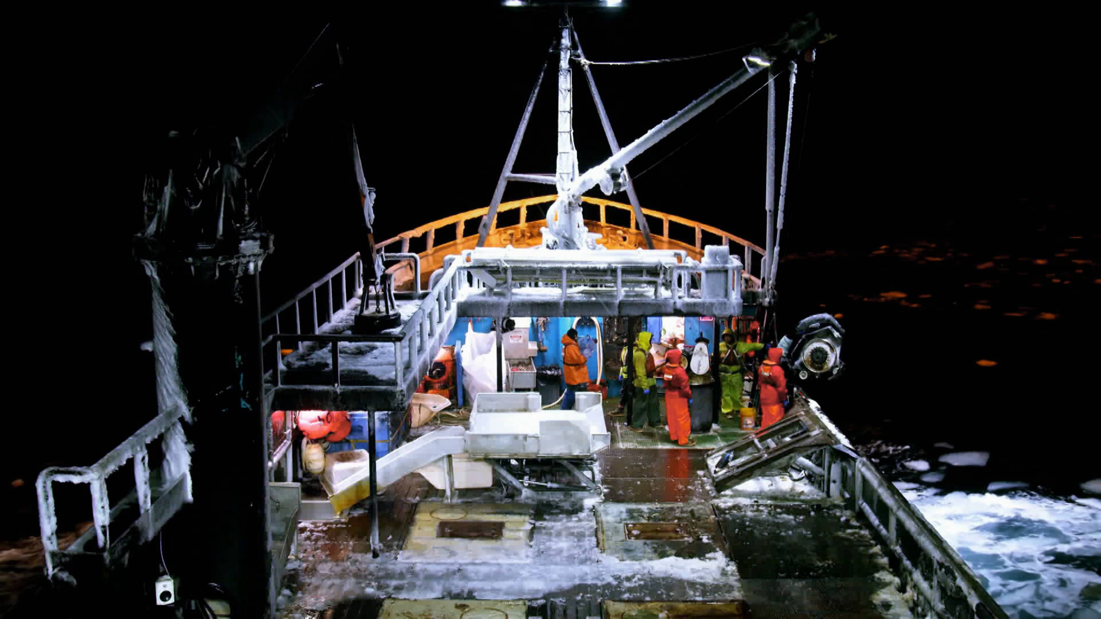 العائلة أهم شيء