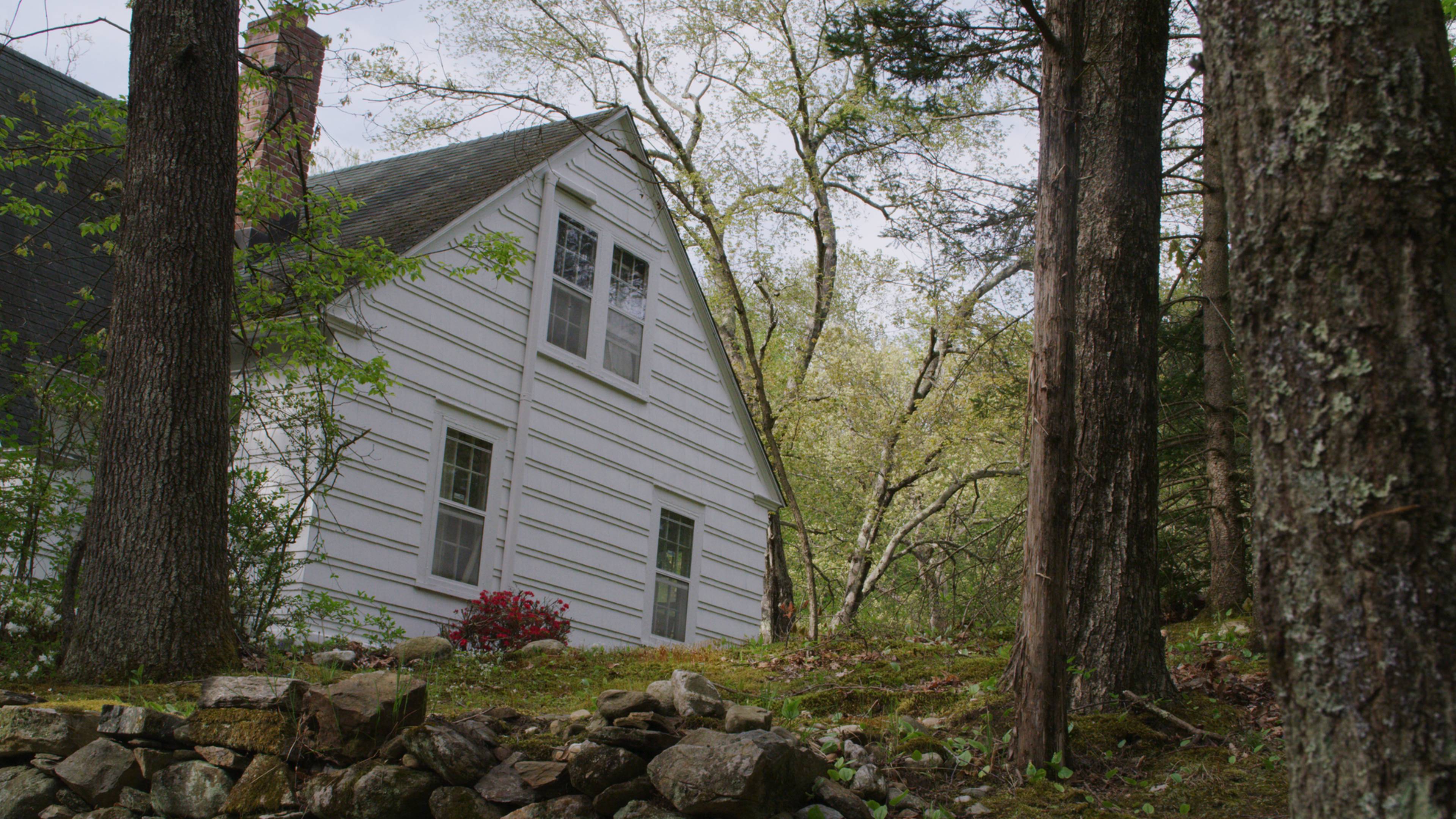 Into The Woods At Midnight