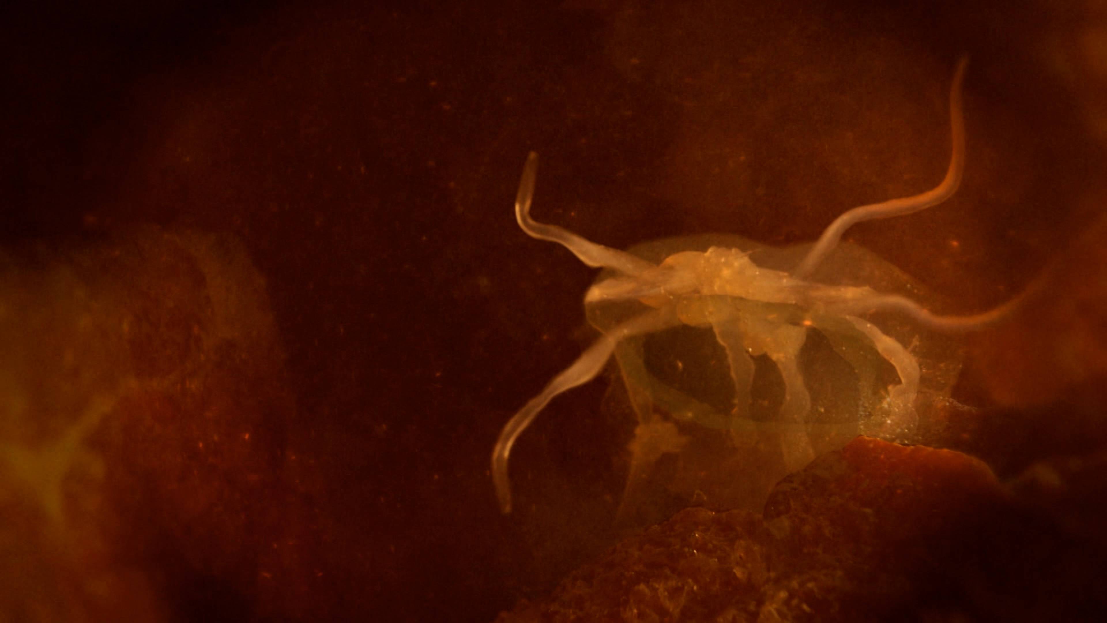 My Vacation From Hell