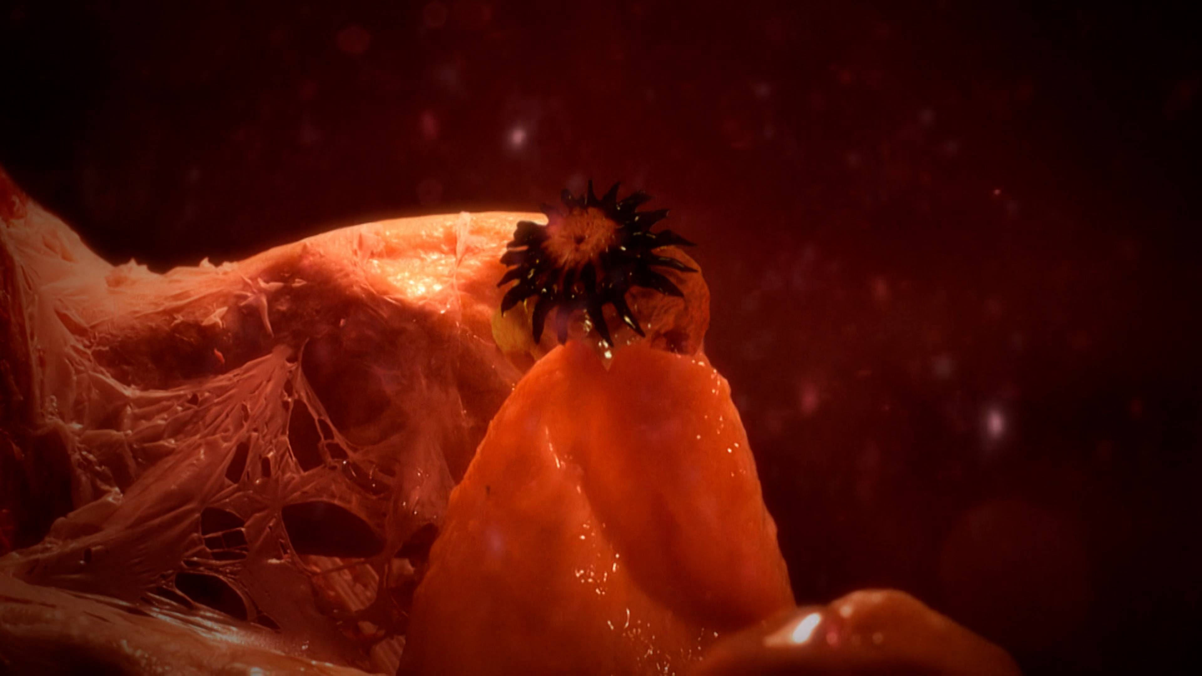 All I Got For Christmas Is Brain Surgery