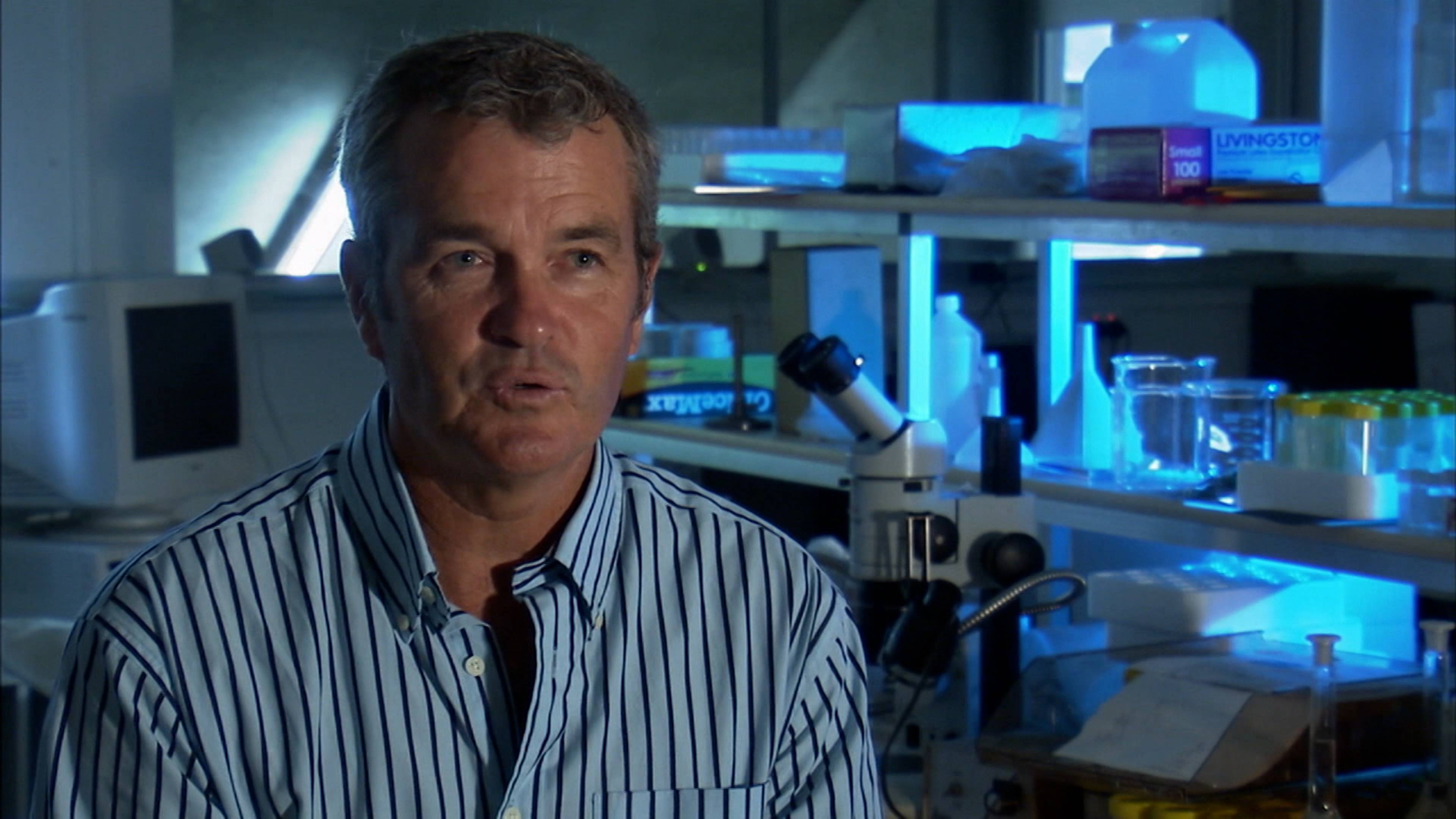 قناديل البحر القاتلة