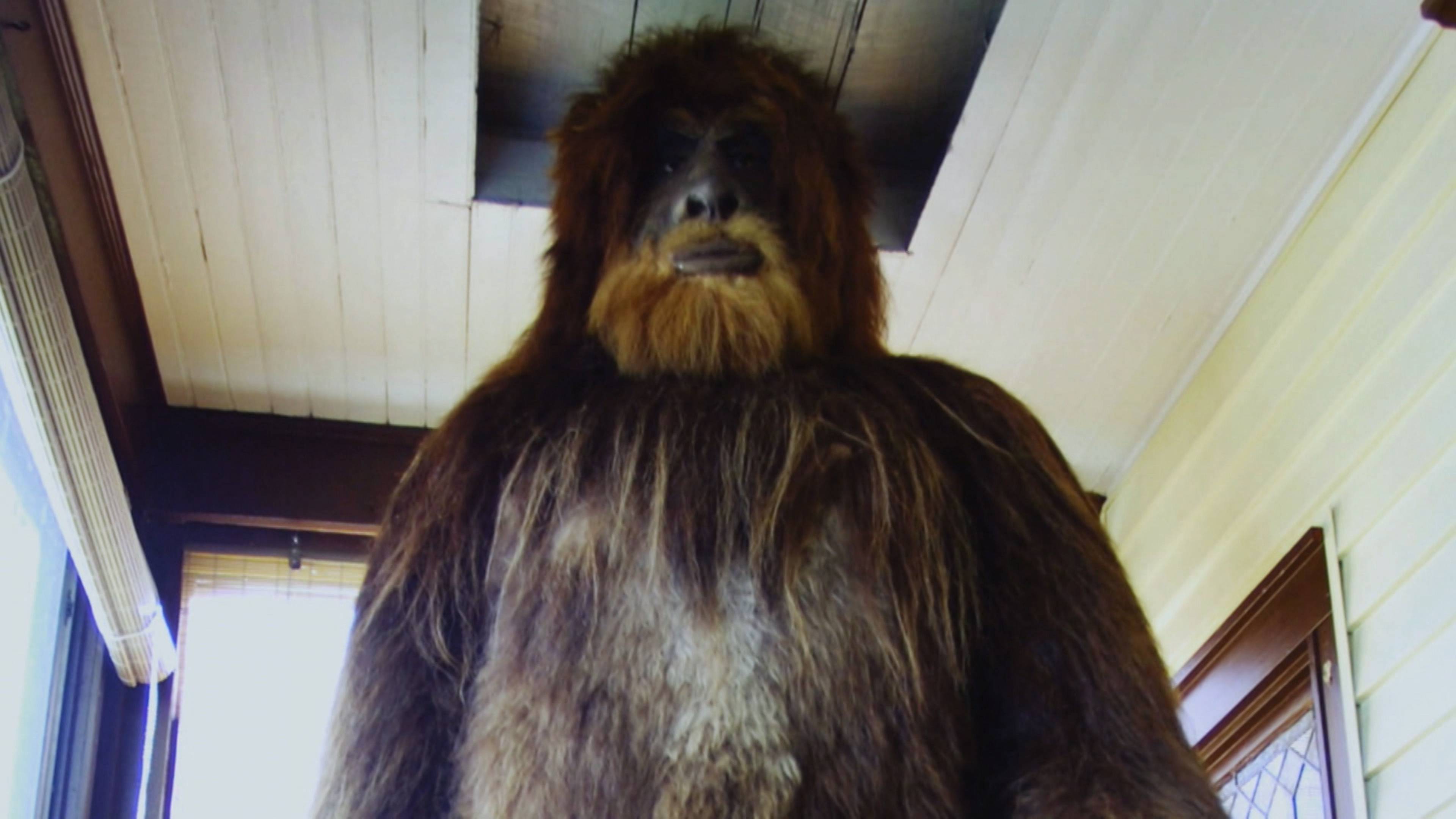 مطاردة بيغ فوت