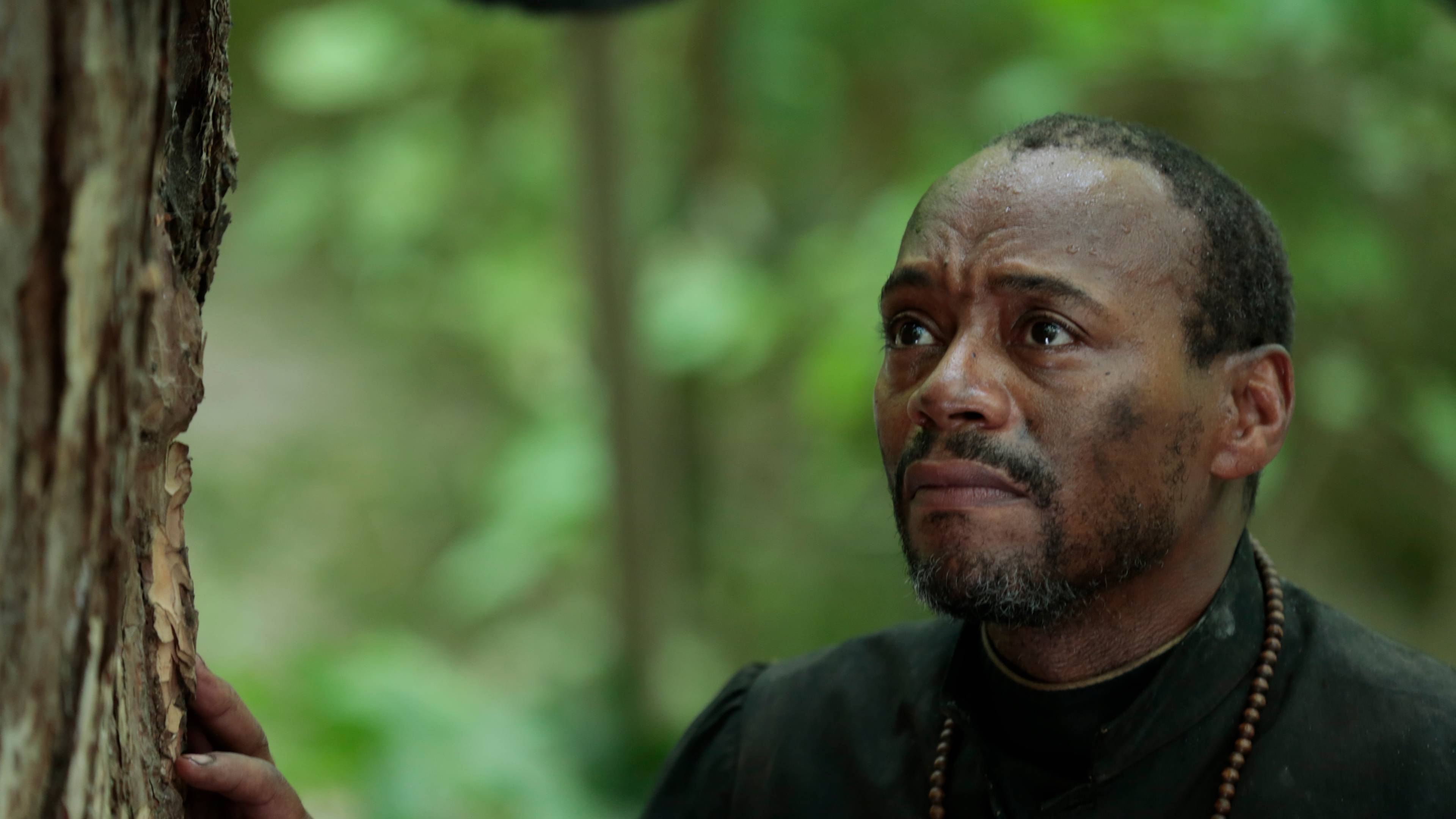 The Disturbing Confidence Of Ignorance