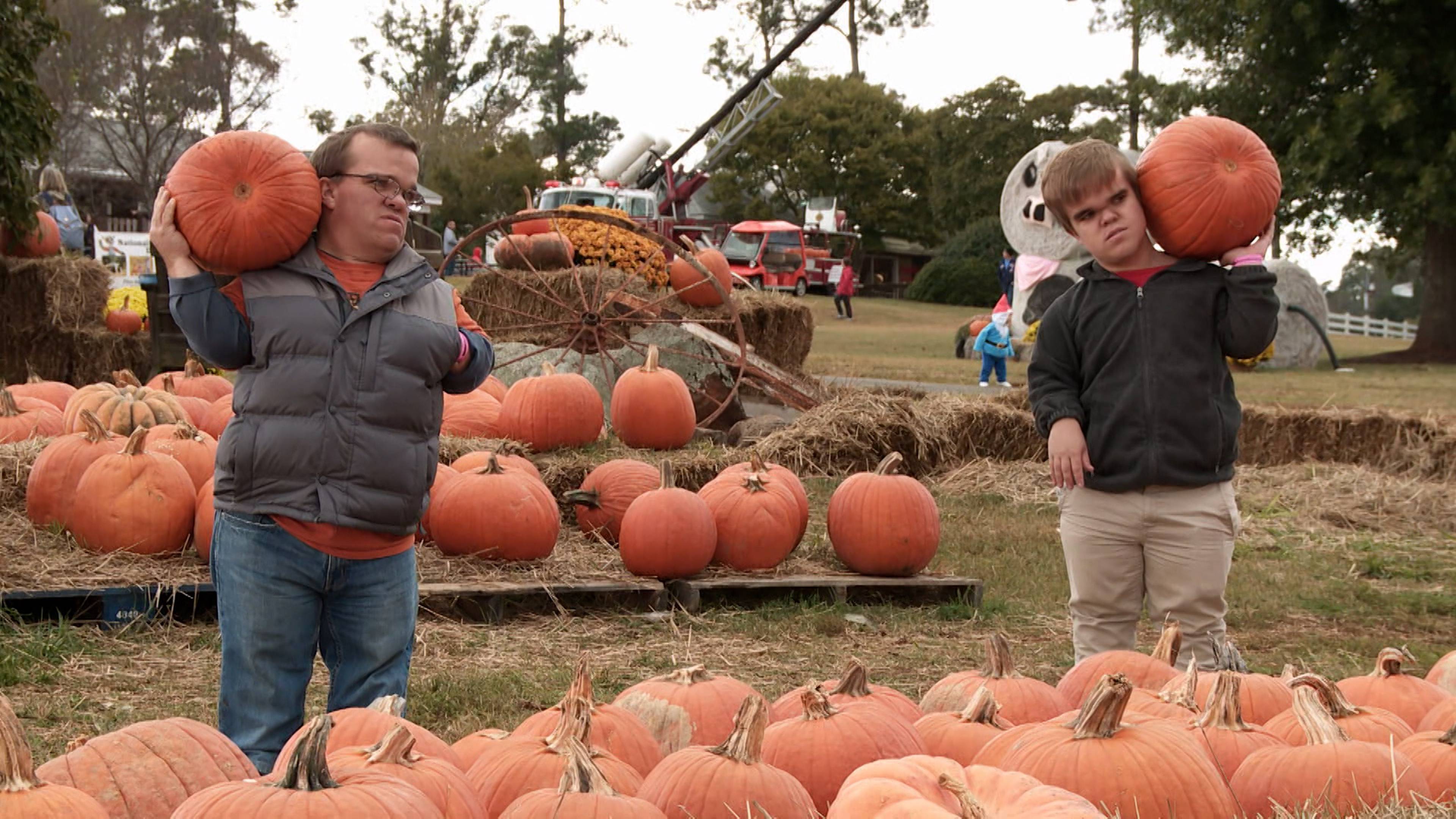 Were Off To See The Wizard